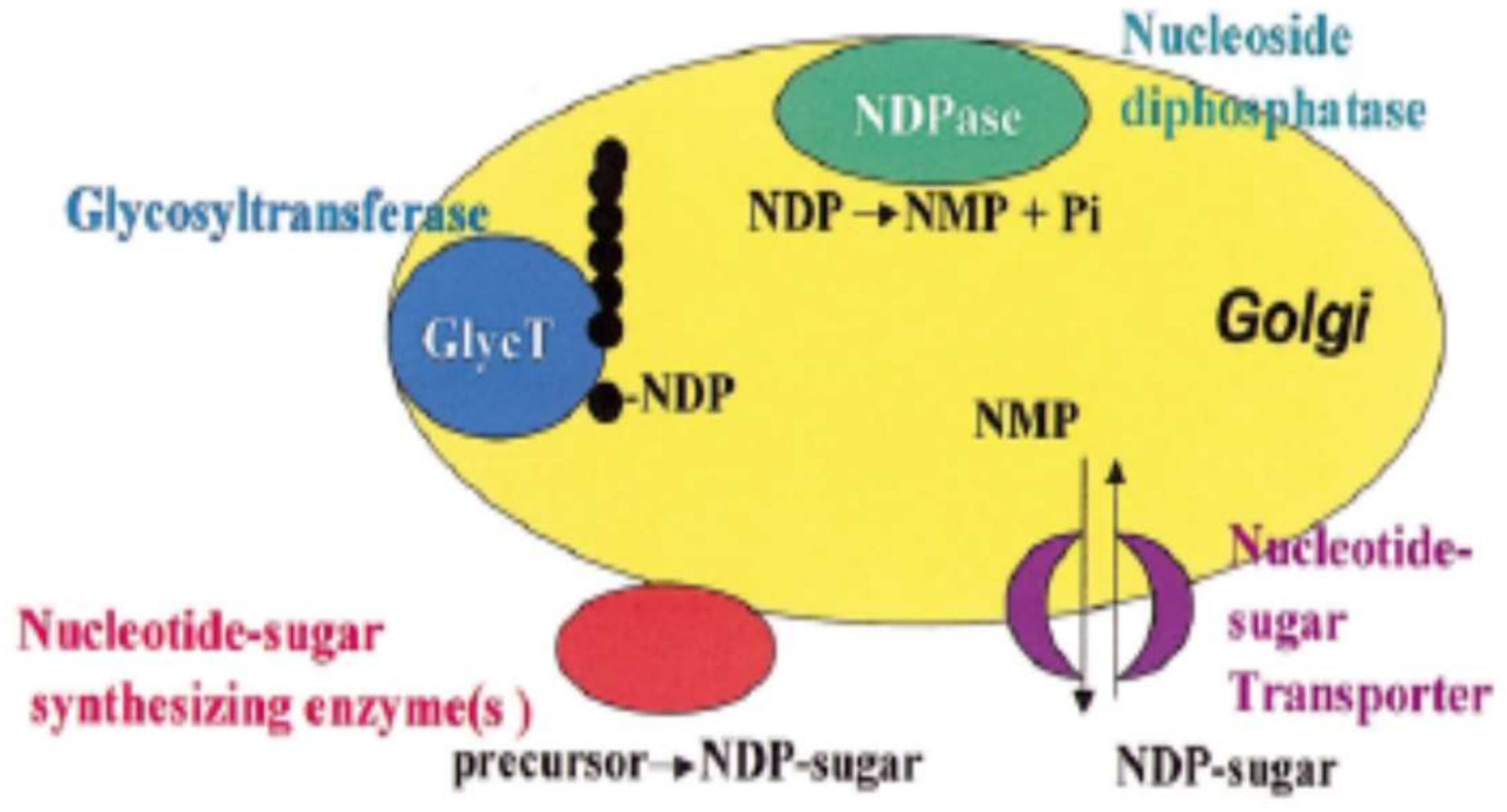 Molecules 23 00942 g001 Molecules 23 00942 g001