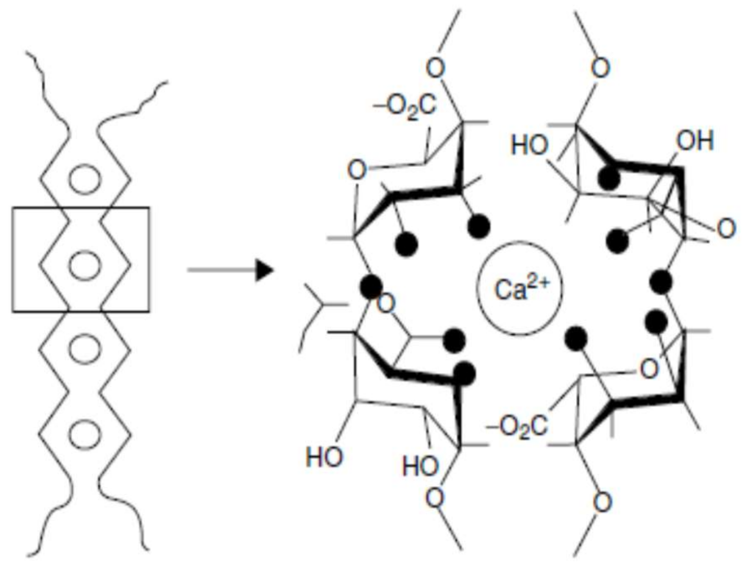 Molecules Free FullText Pectin and PectinBased Composite