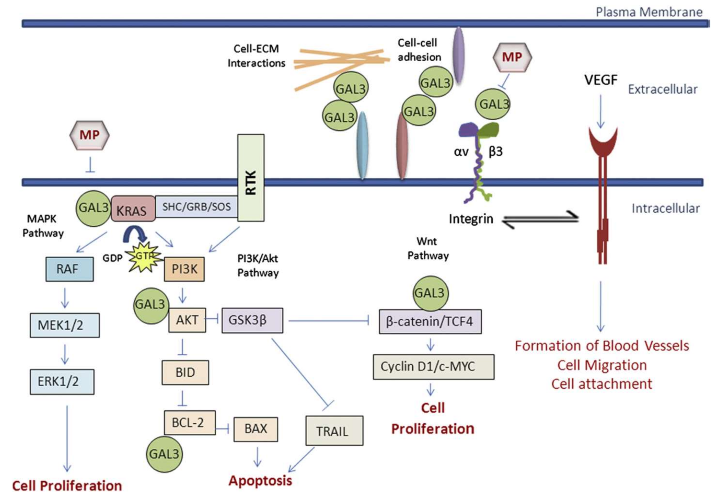 Molecules 23 00942 g005 Molecules 23 00942 g005
