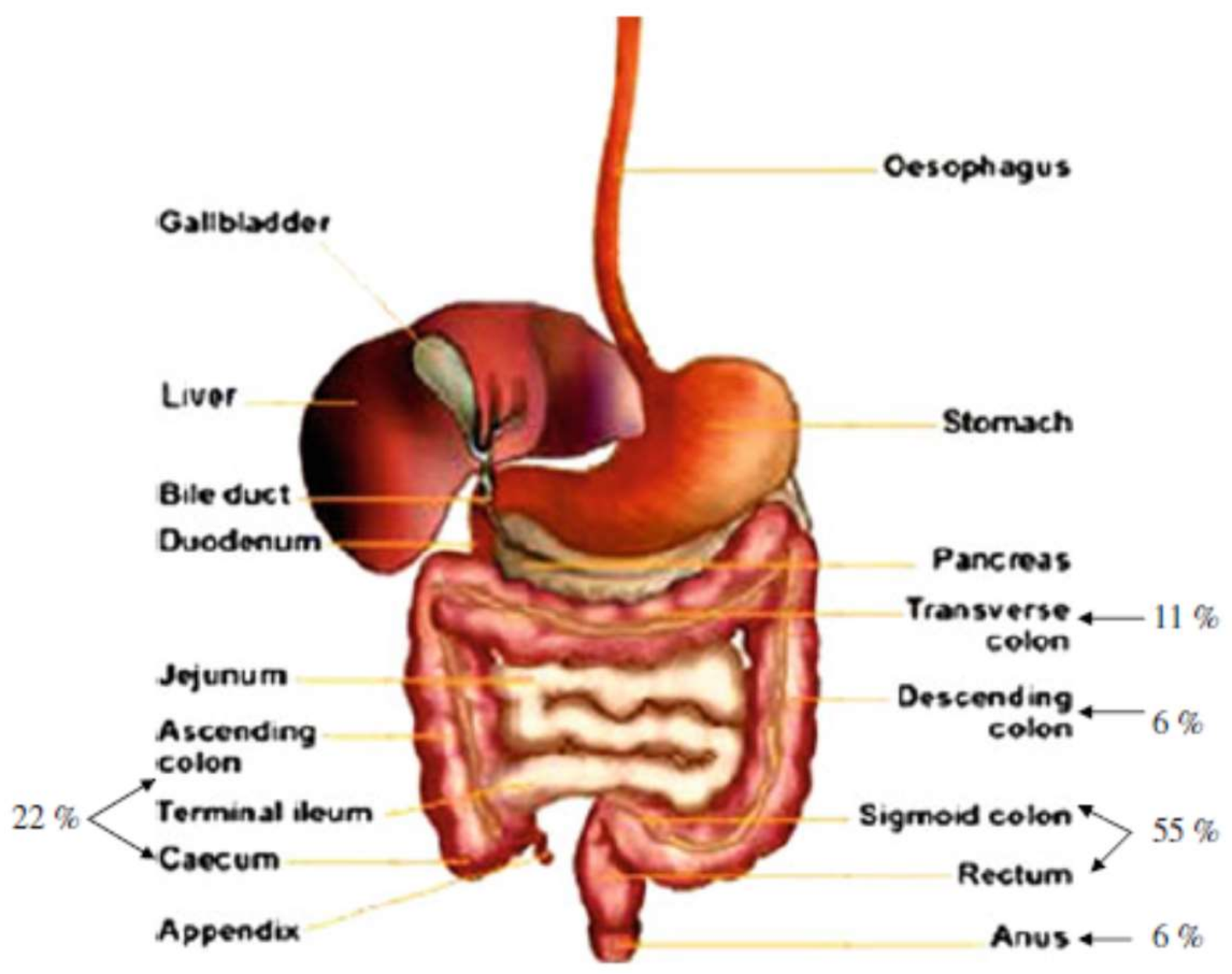 Molecules 23 00942 g006 Molecules 23 00942 g006