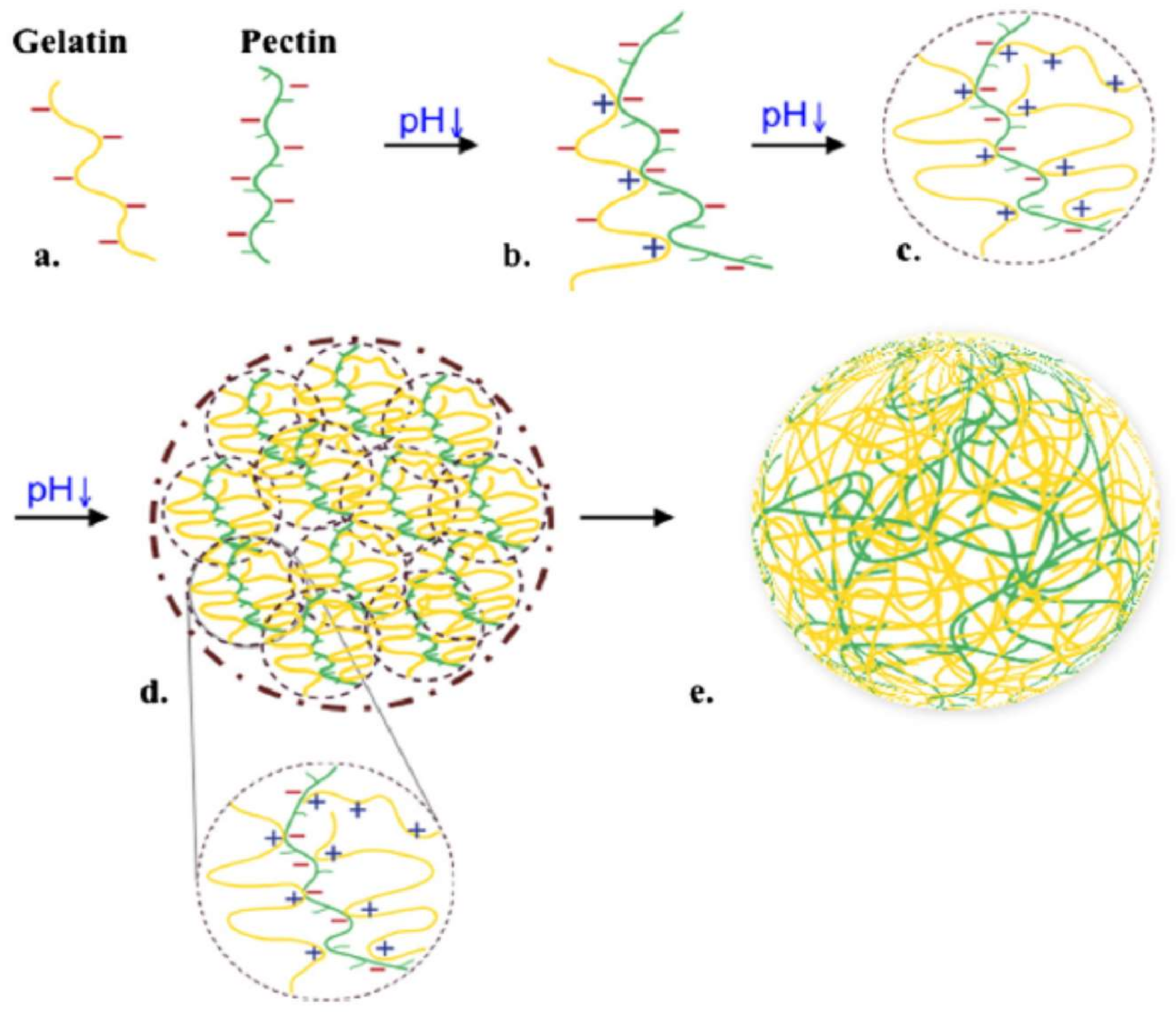 Molecules 23 00942 g010 Molecules 23 00942 g010