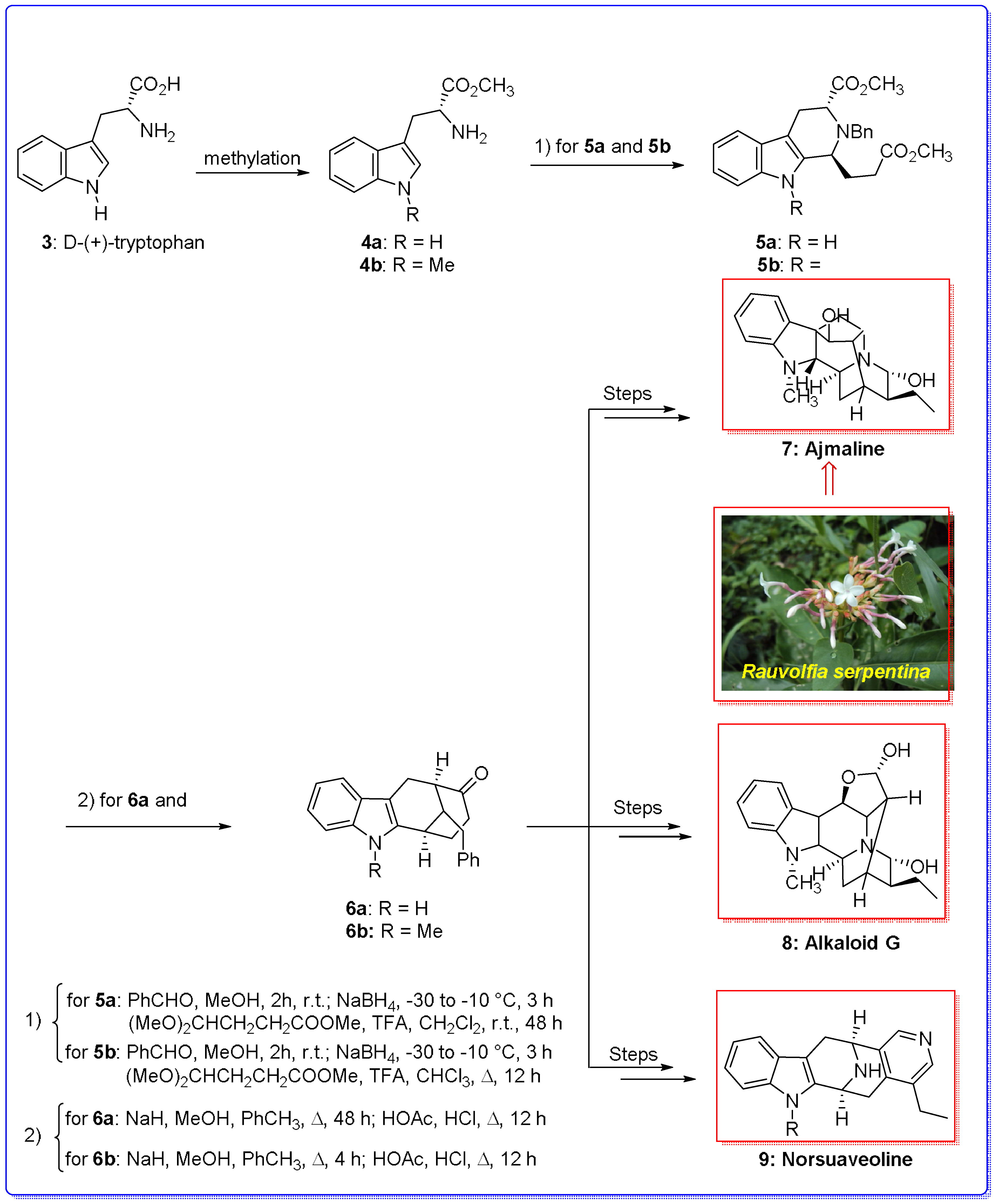 Molecules 23 00943 sch002 Molecules 23 00943 sch002