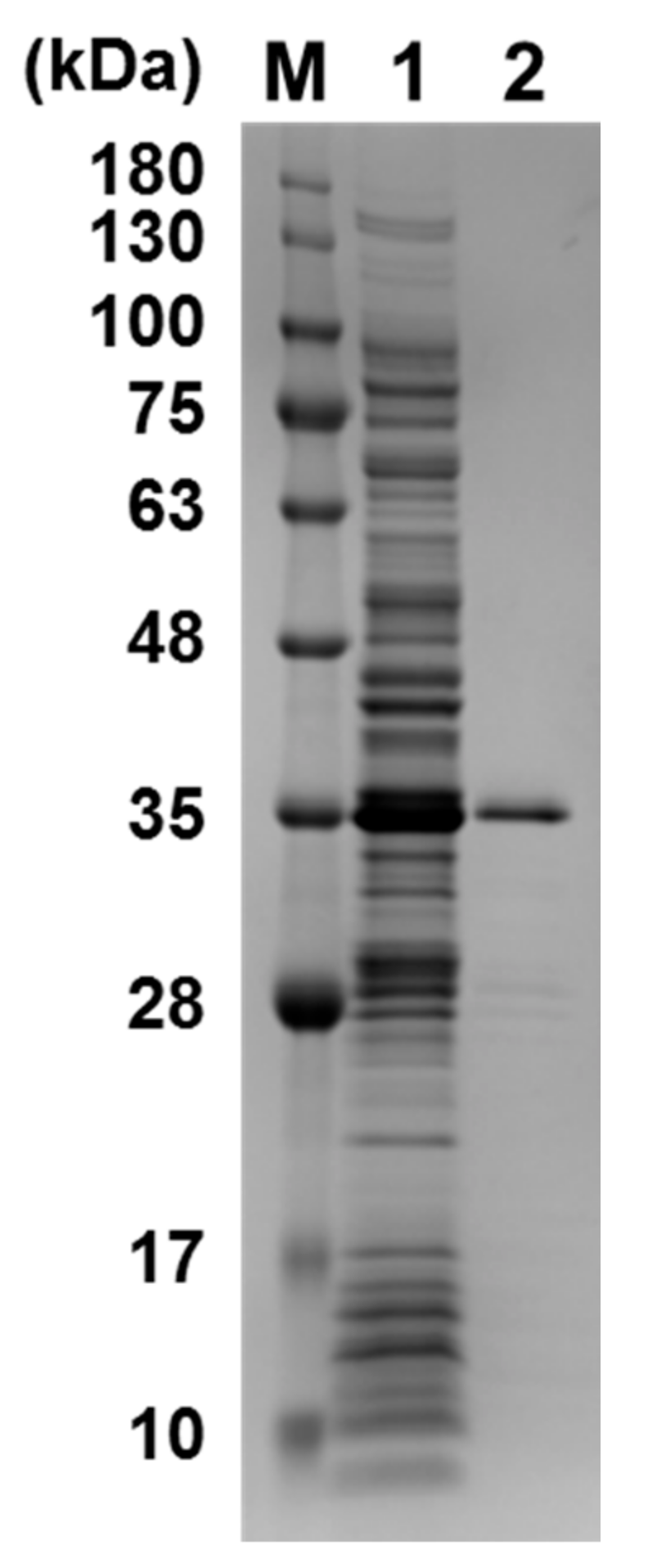 Molecules 23 00944 g002