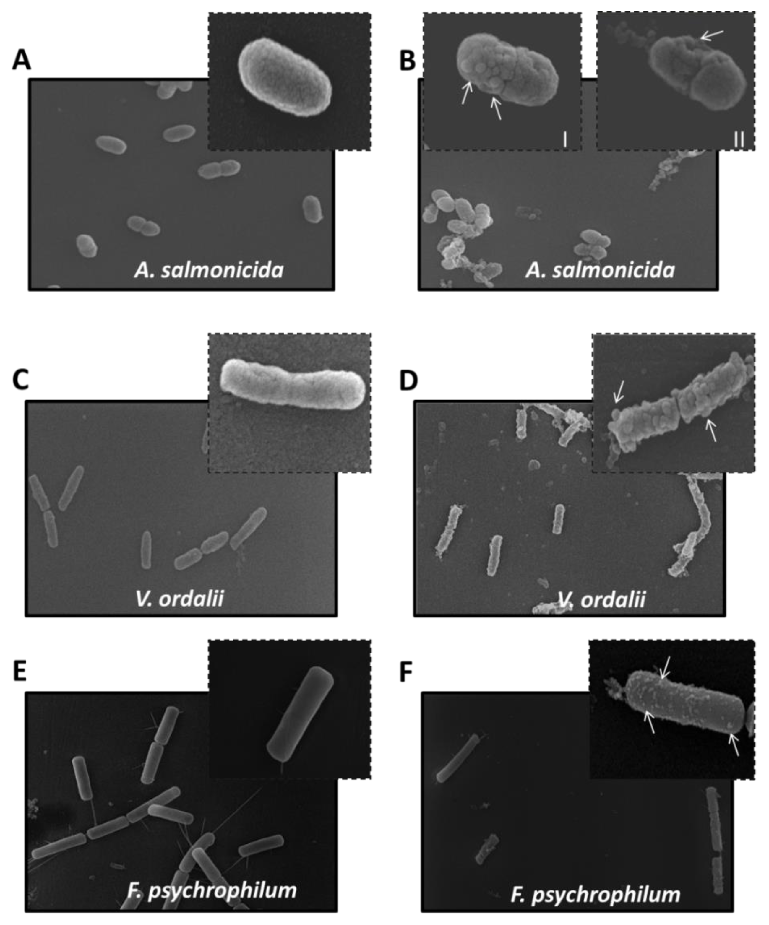 Molecules 23 00952 g005 Molecules 23 00952 g005