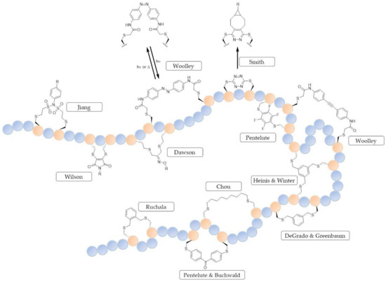 stapled peptide stapled peptide