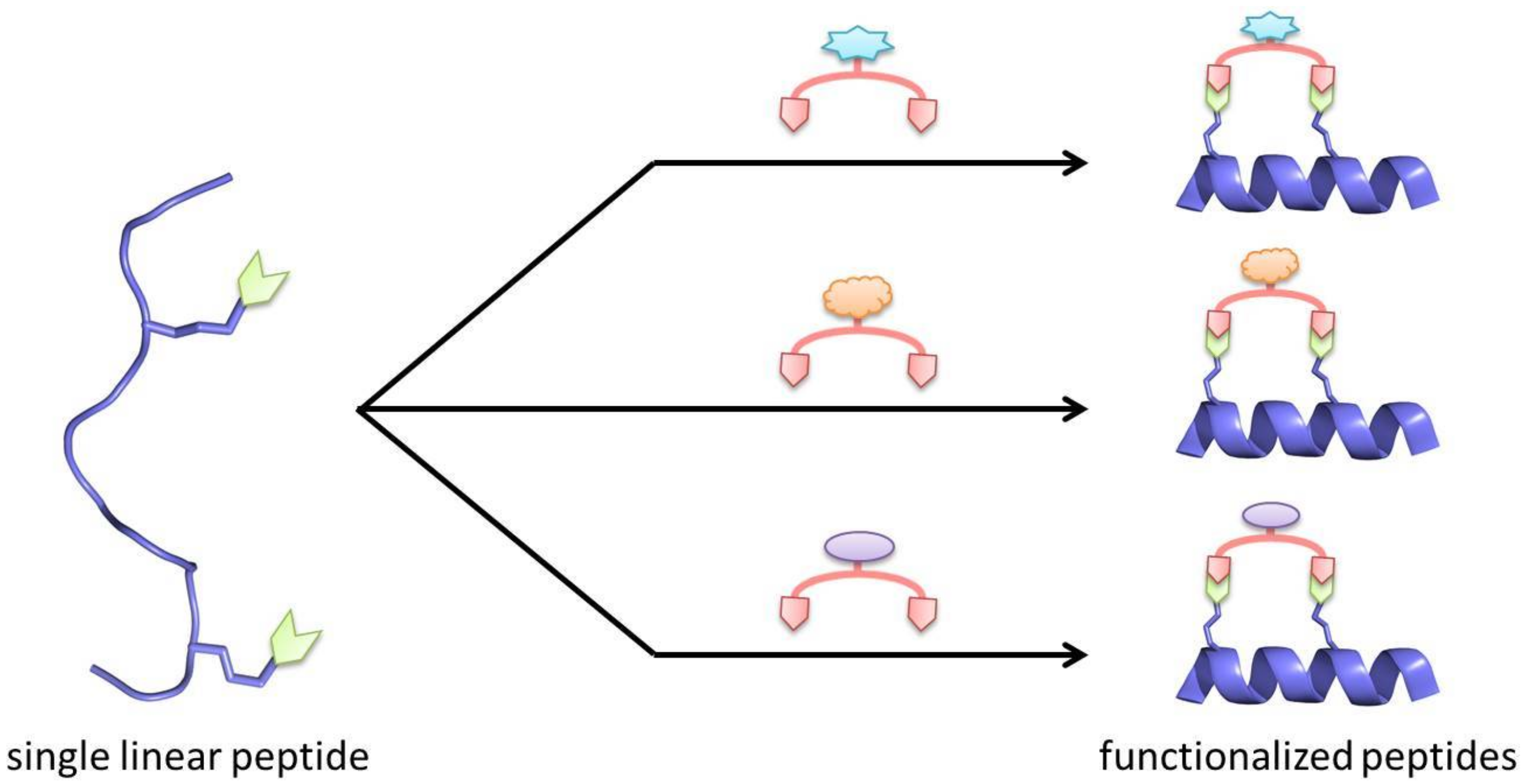 Molecules 23 00959 g006