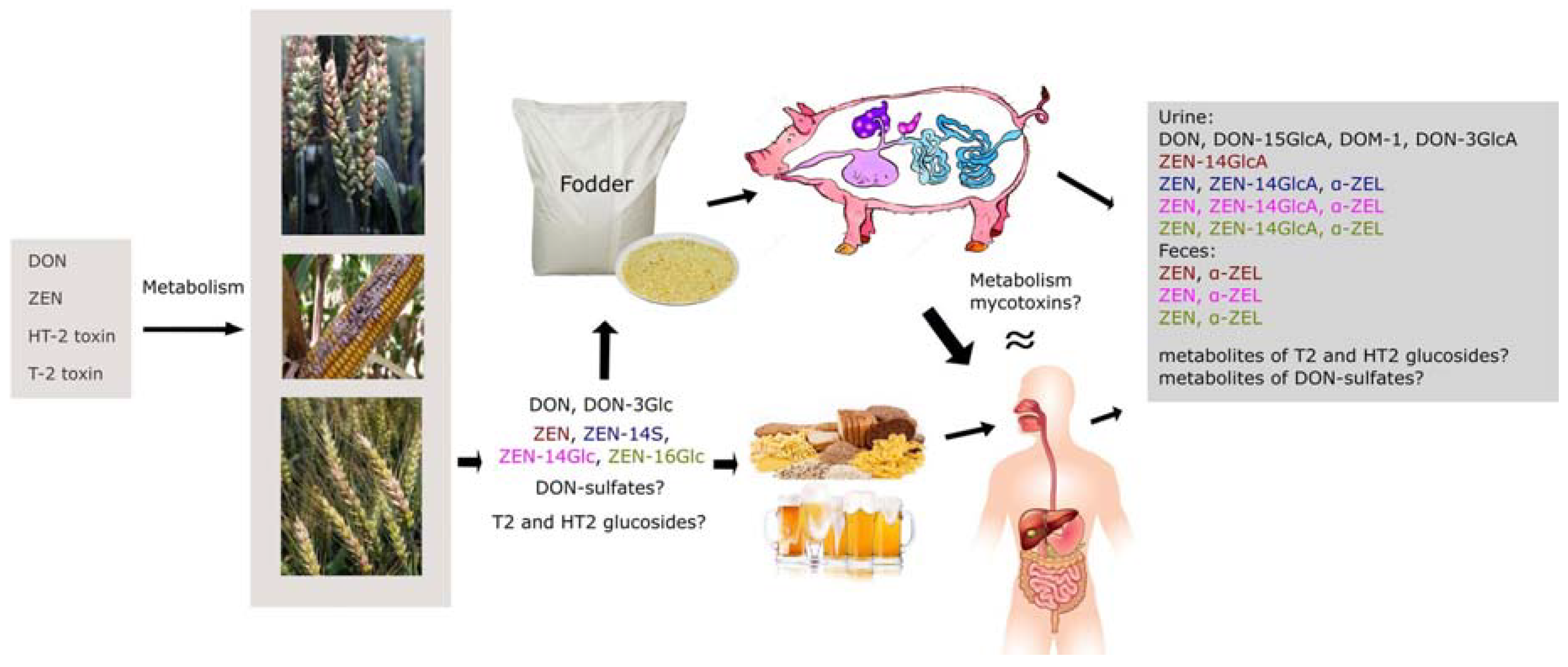 Molecules 23 00963 g005 Molecules 23 00963 g005