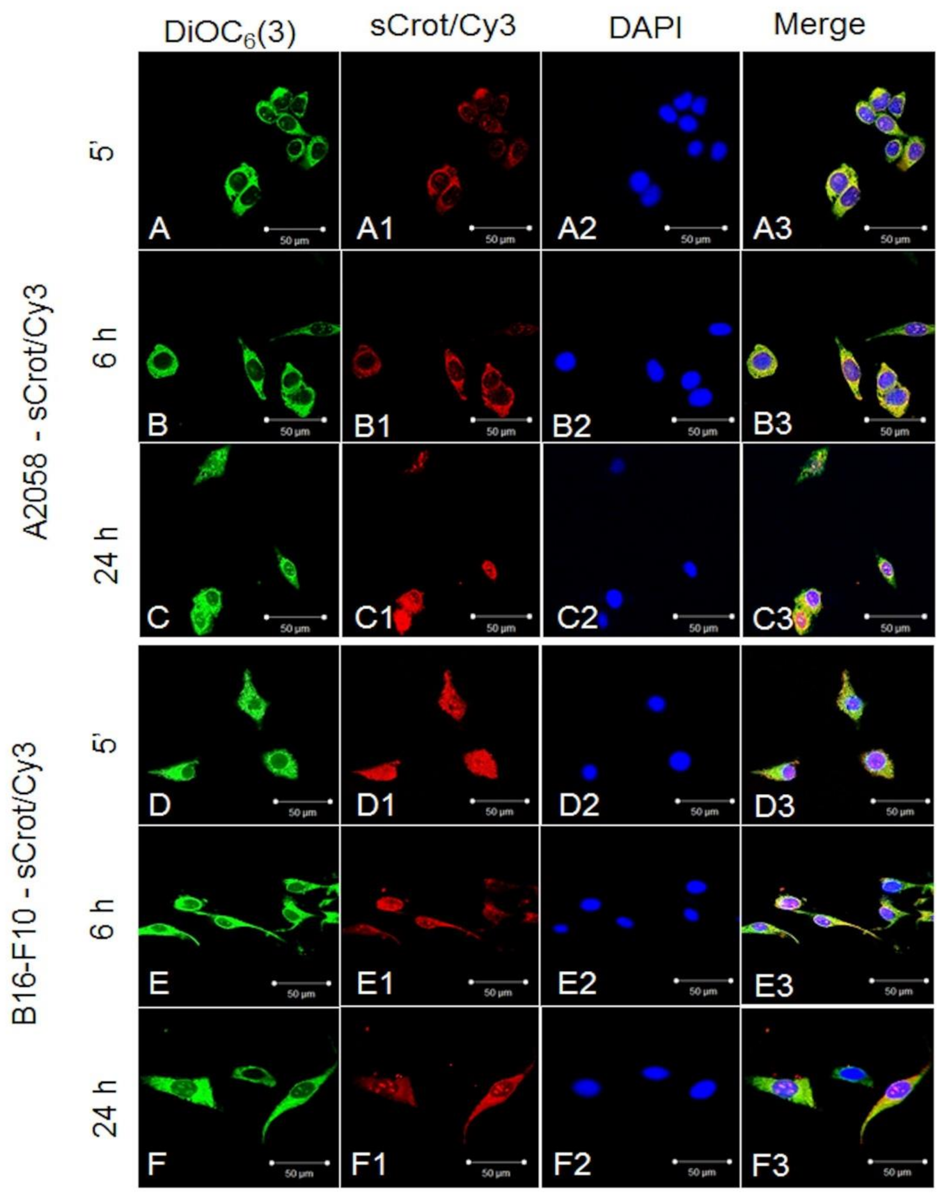 Molecules 23 00968 g001 Molecules 23 00968 g001