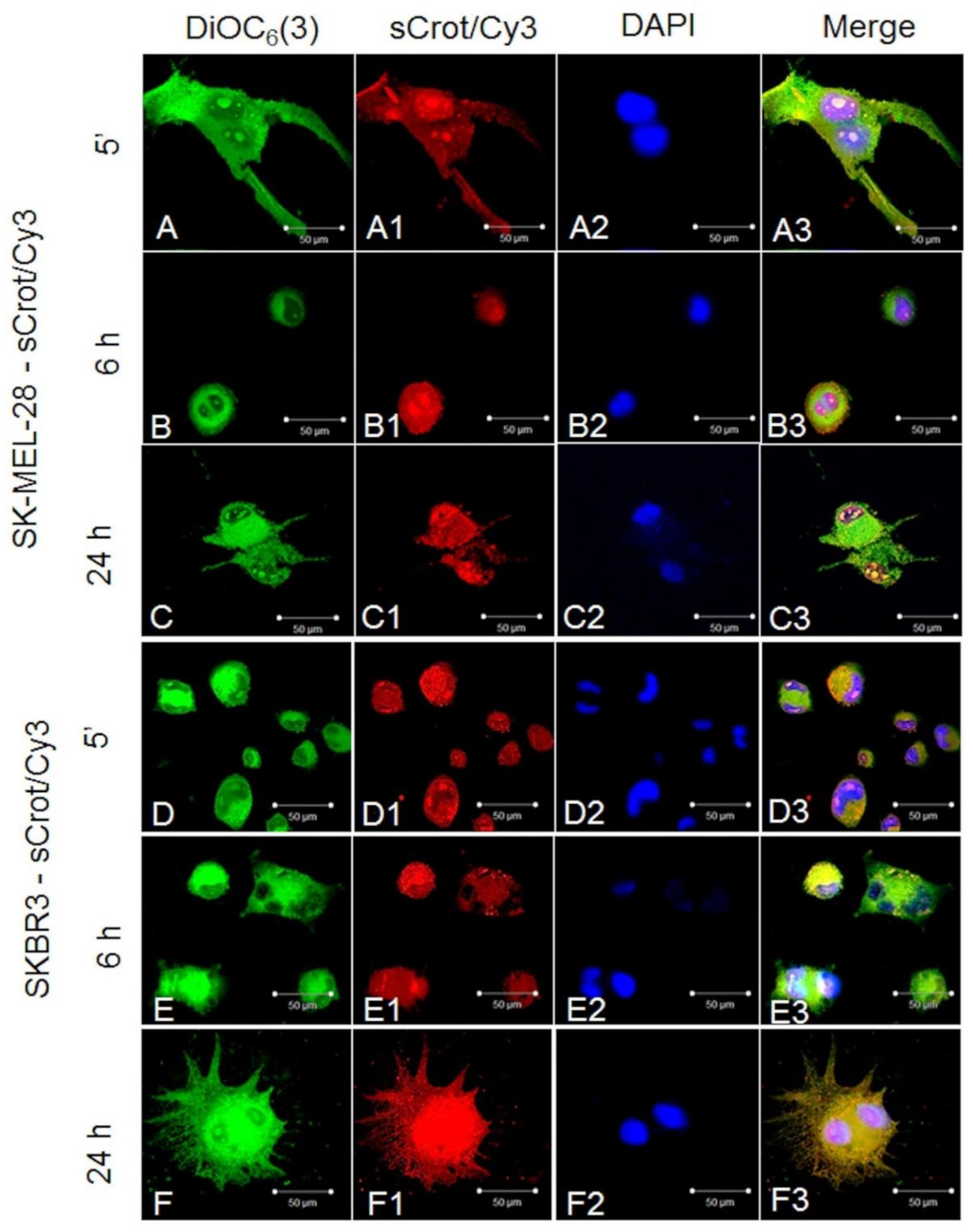 Molecules 23 00968 g002 Molecules 23 00968 g002