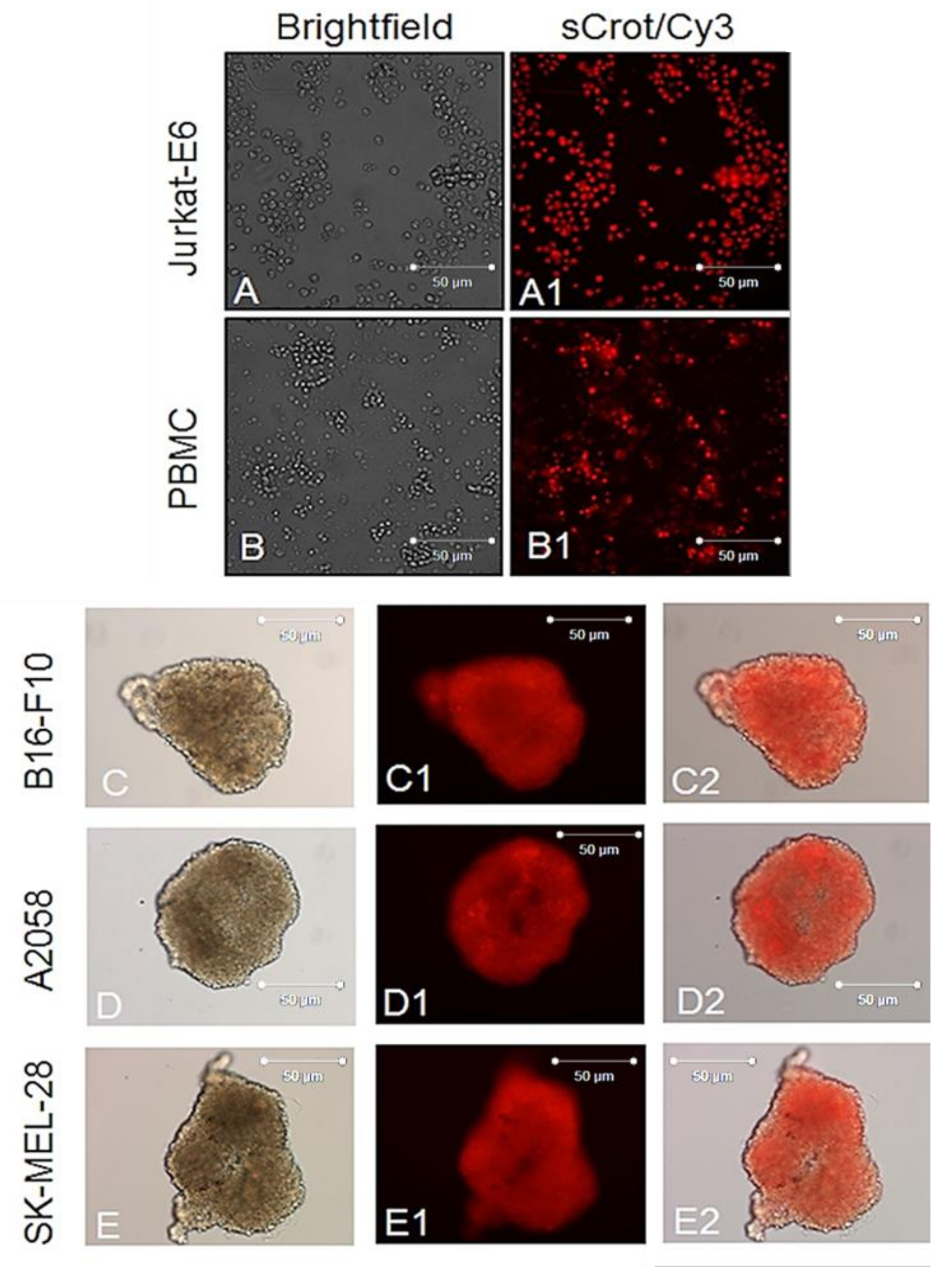 Molecules 23 00968 g004 Molecules 23 00968 g004