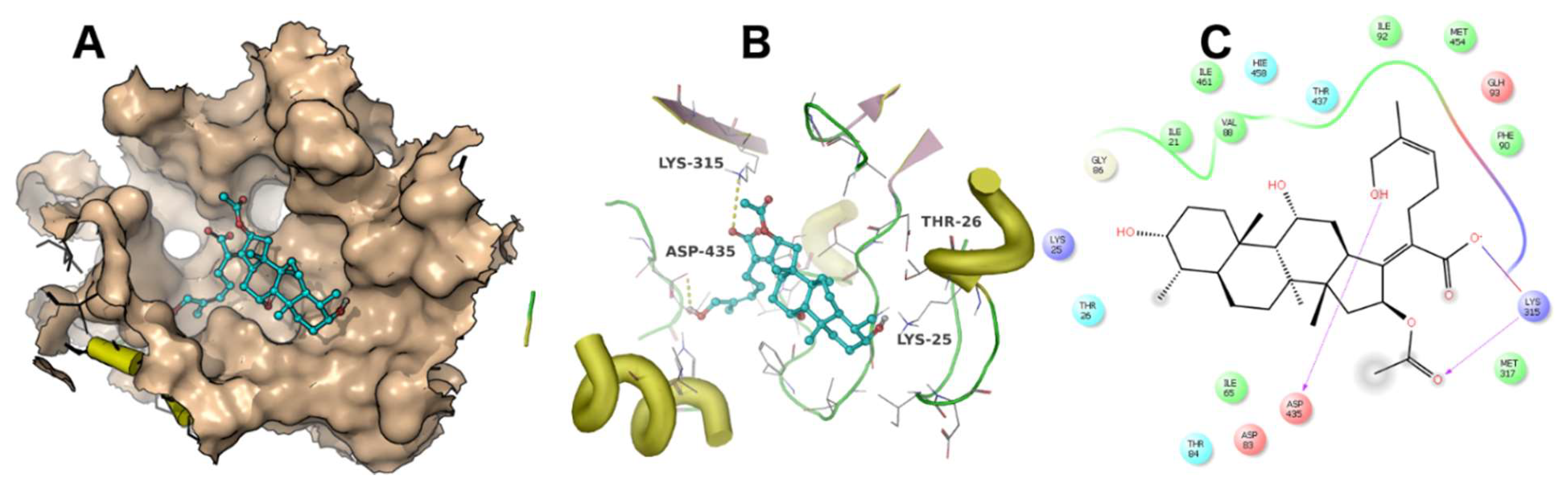 Molecules 23 00970 g005