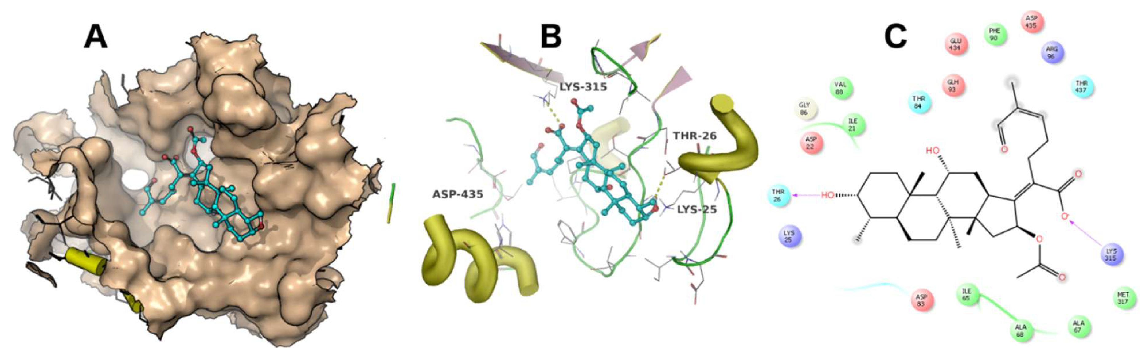 Molecules 23 00970 g006