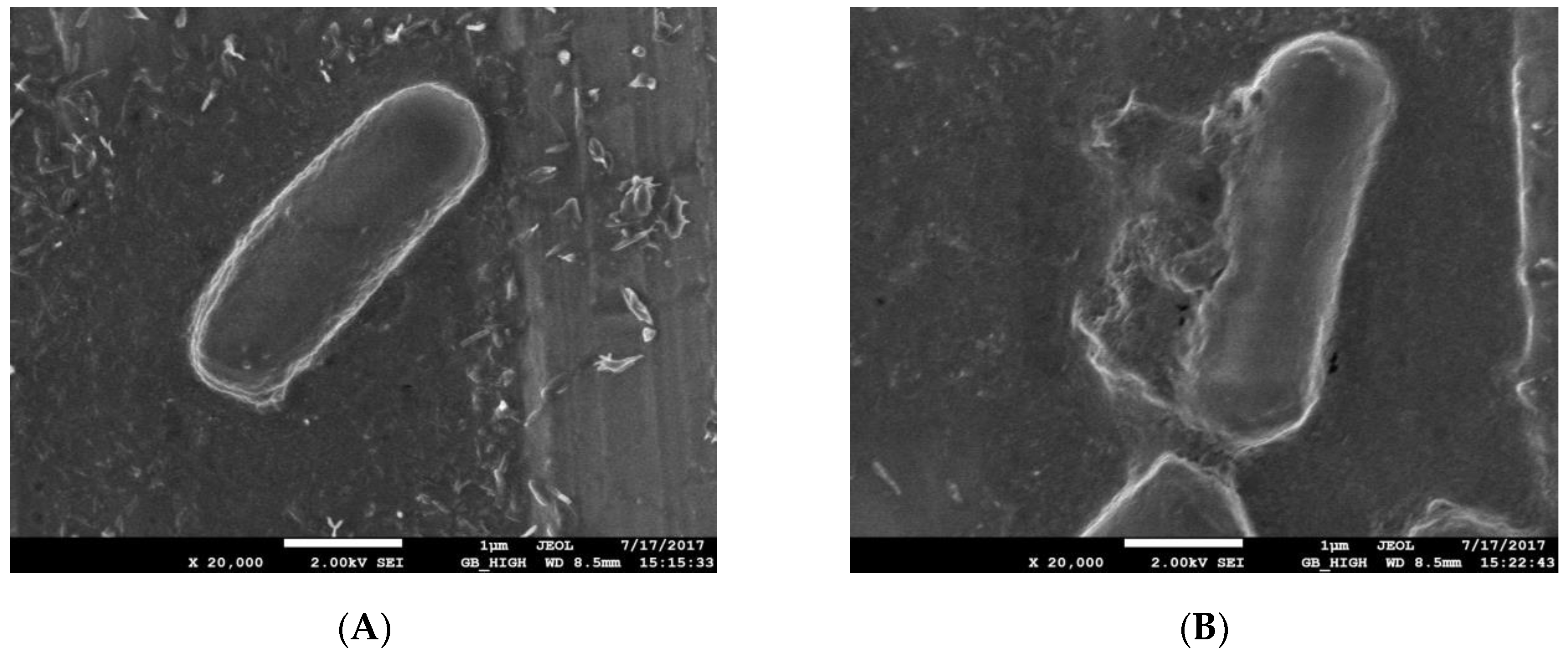 Molecules 23 00975 g001 Molecules 23 00975 g001