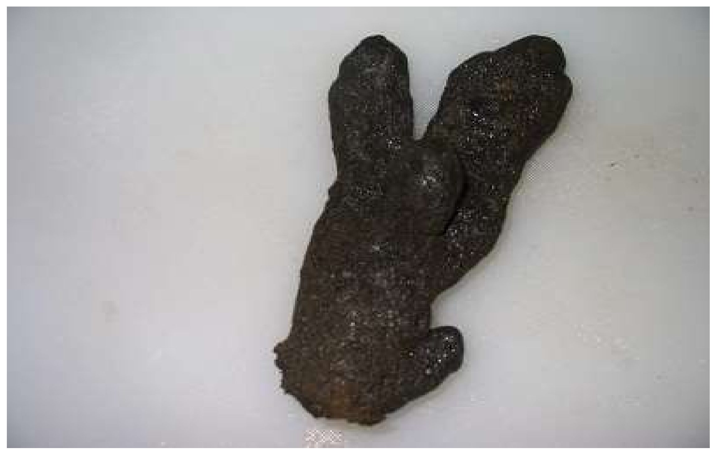 Molecules 23 00978 g001 550