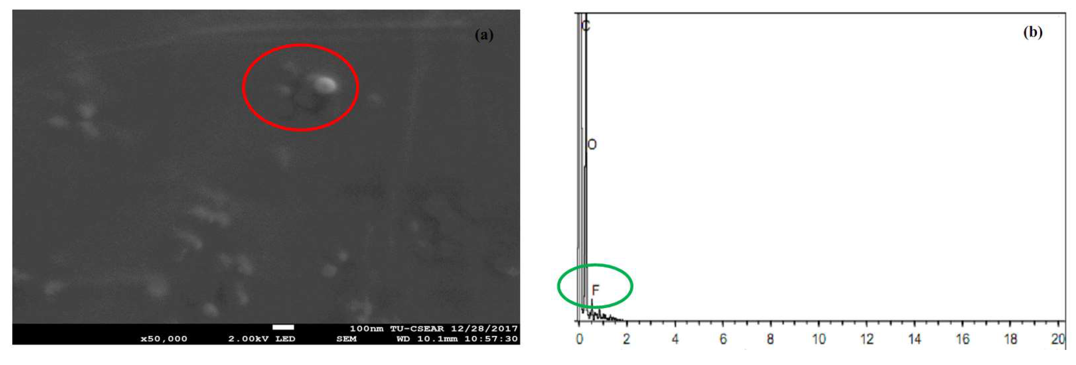 Molecules 23 00982 g004 550