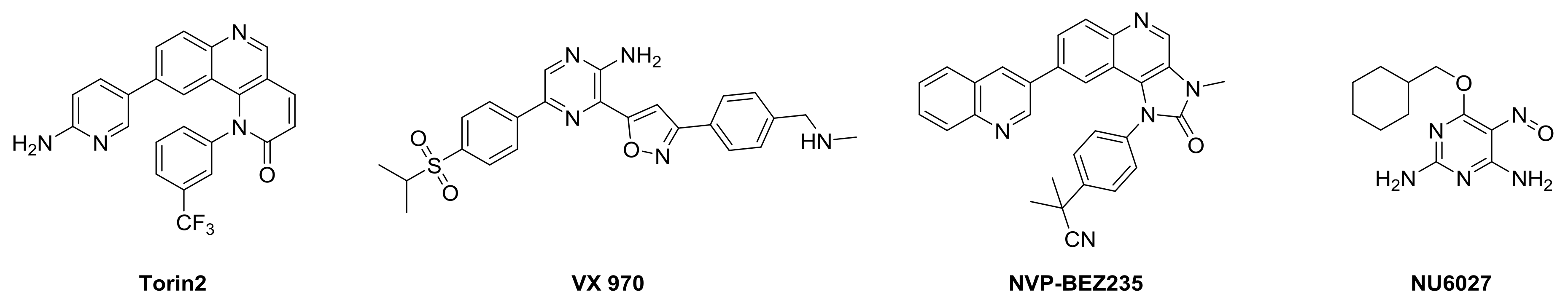 Molecules 23 00992 g001