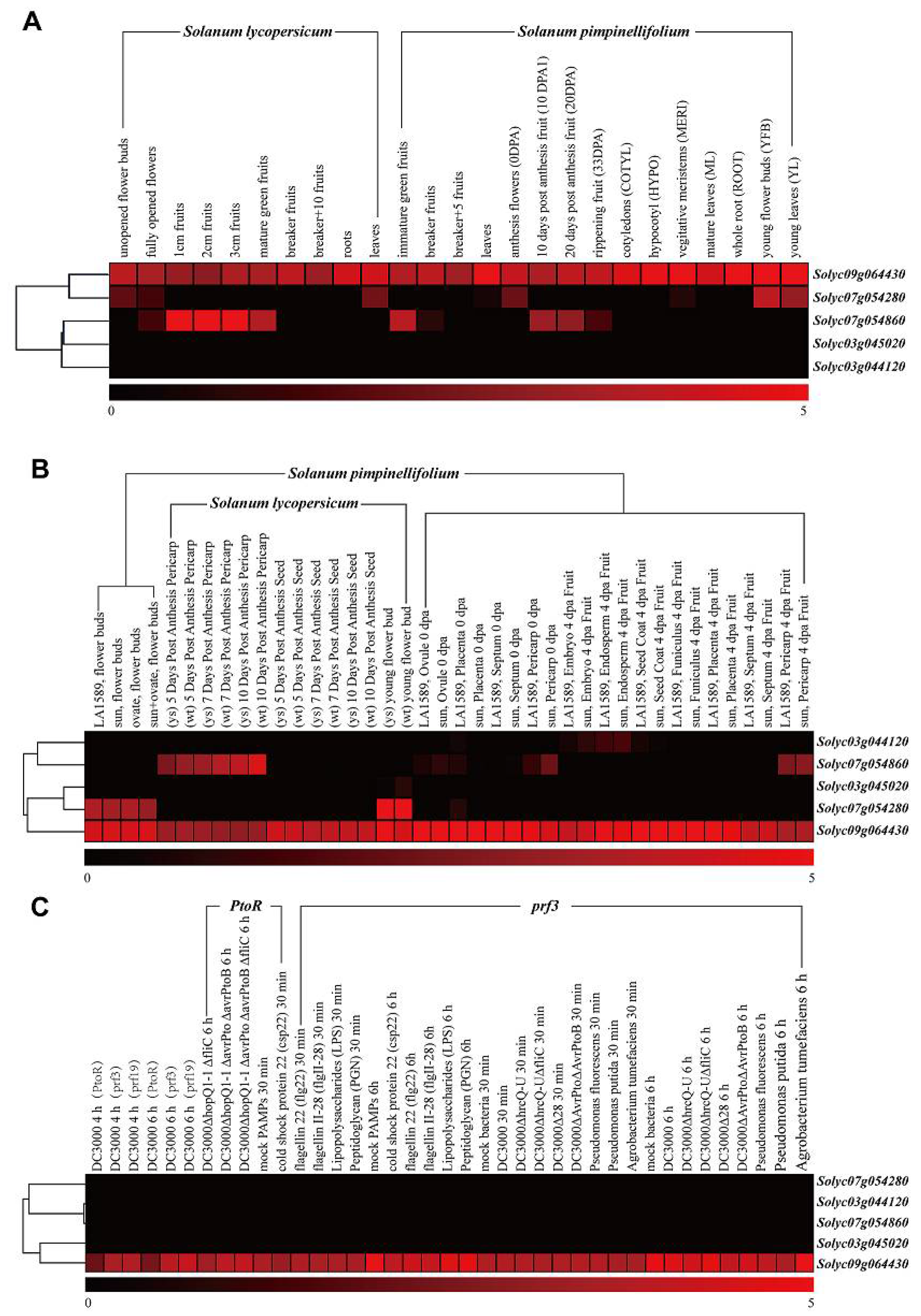 Molecules 23 00998 g003 550