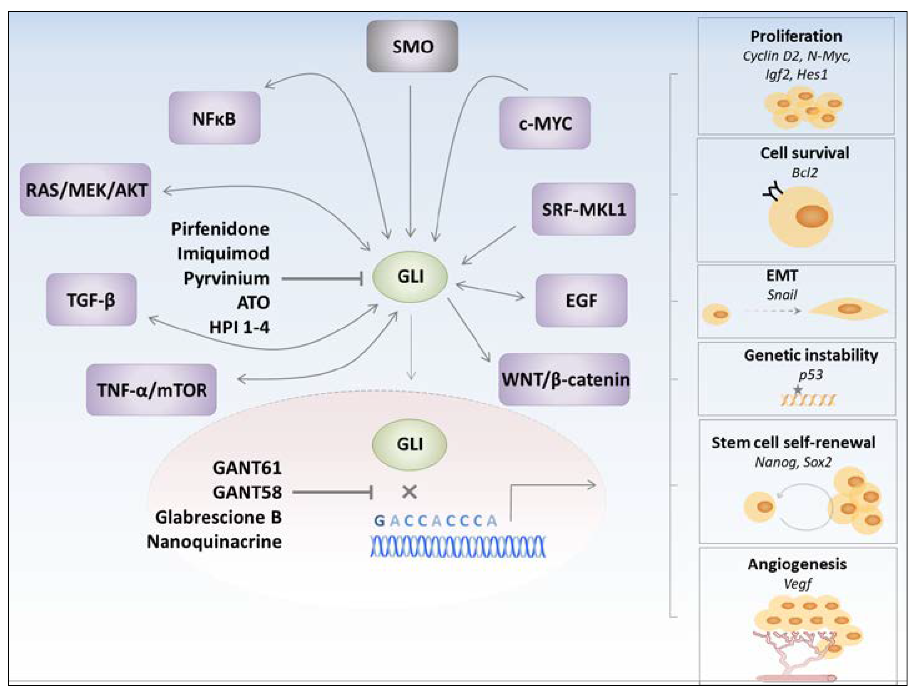 Molecules 23 01003 g002 Molecules 23 01003 g002