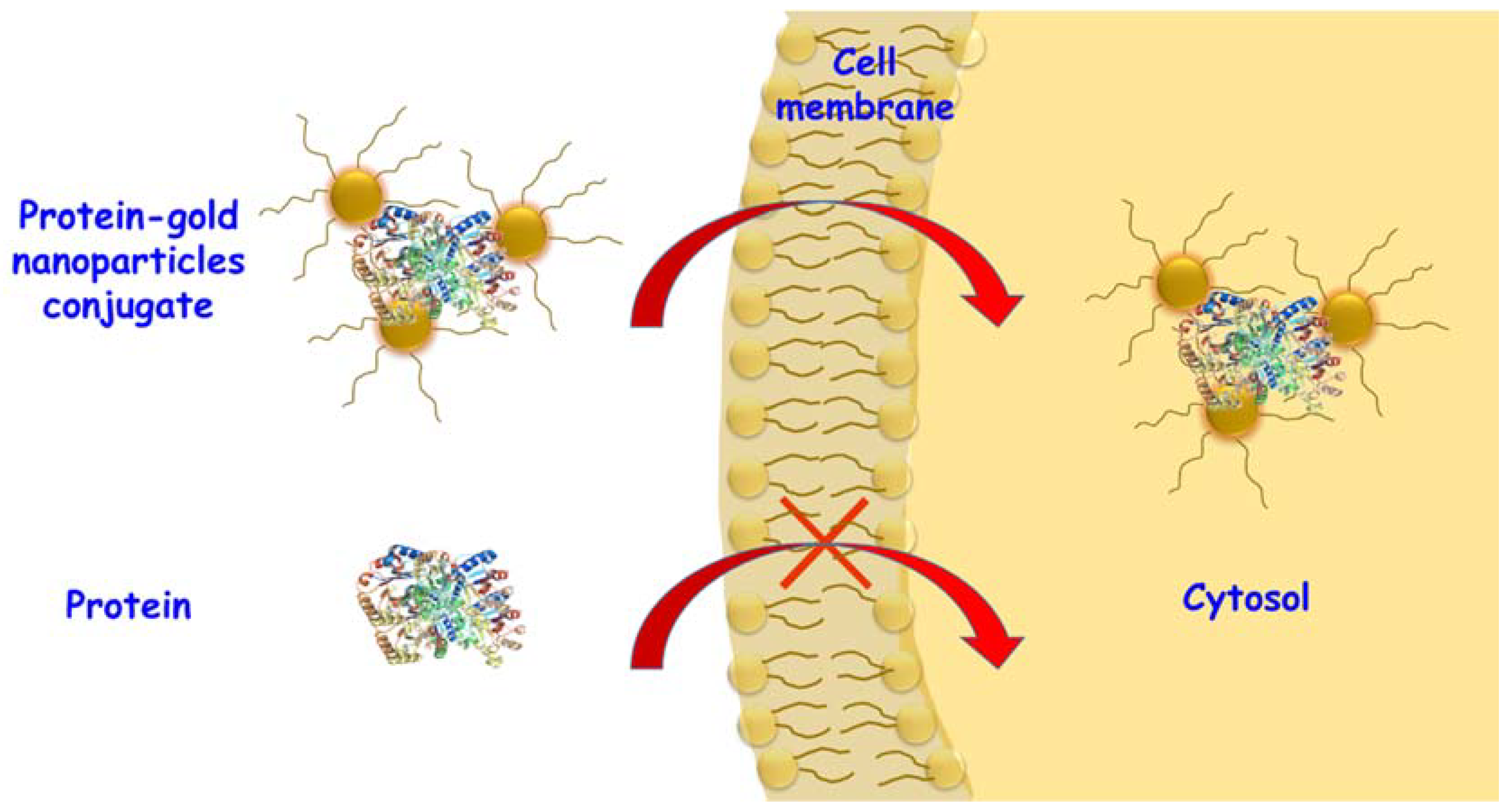 Molecules 23 01008 g002 Molecules 23 01008 g002