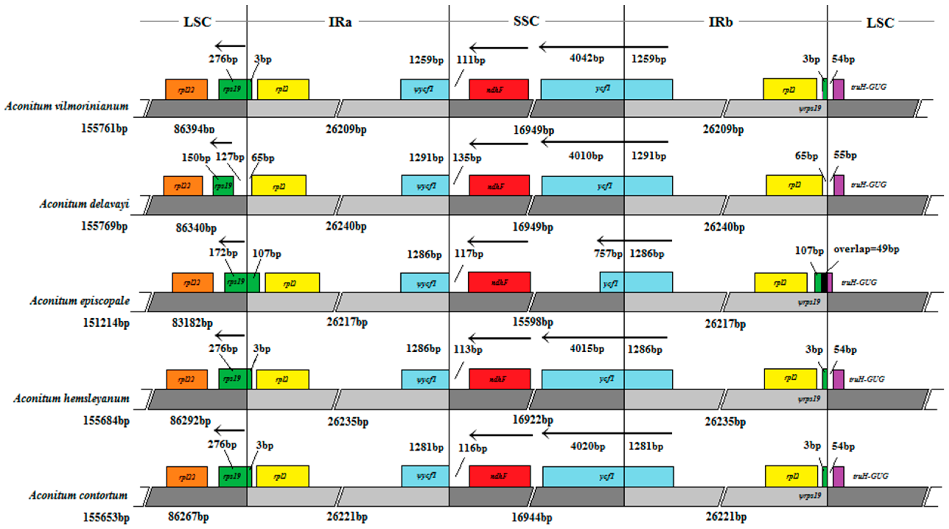 Molecules 23 01015 g007