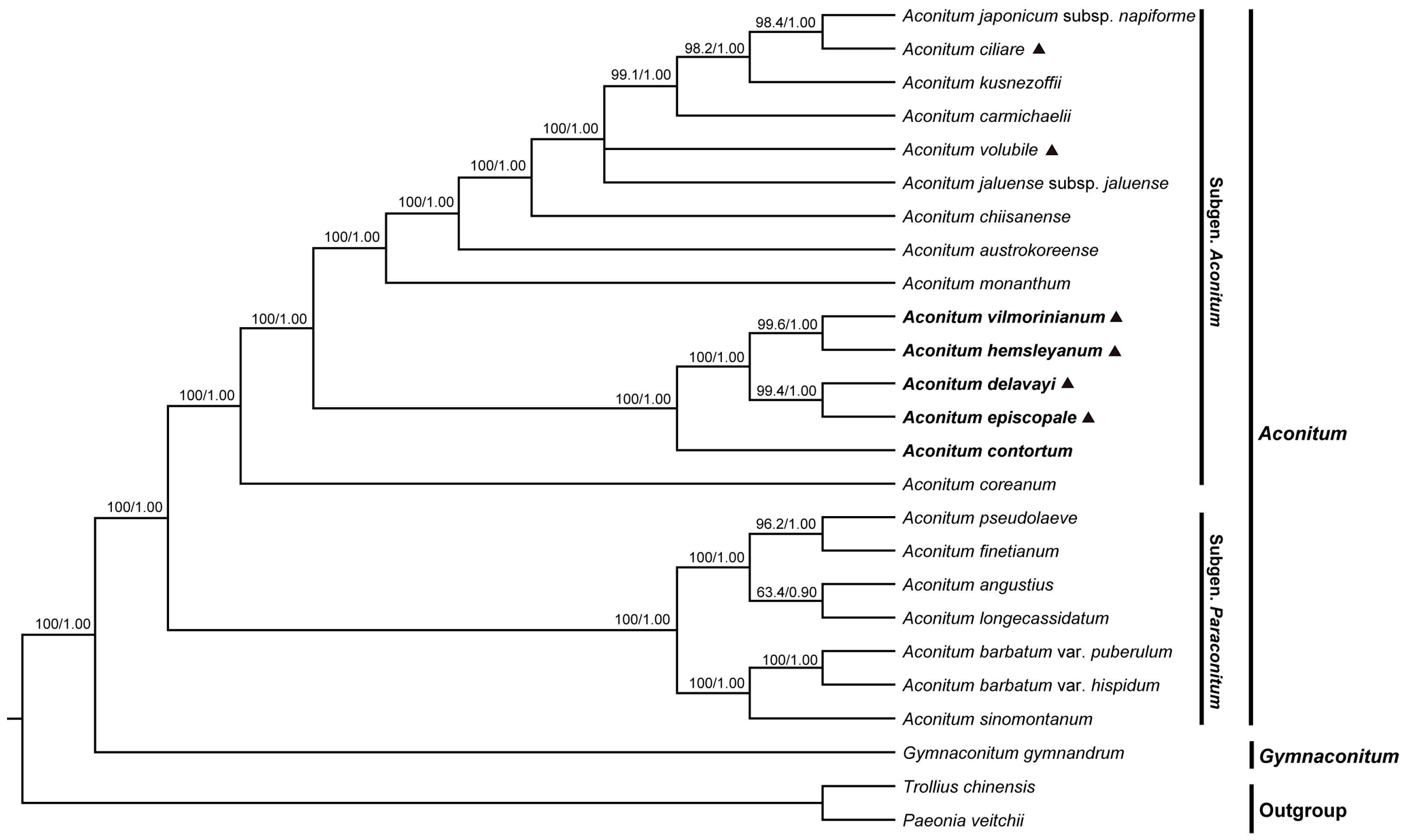 Molecules 23 01015 g008