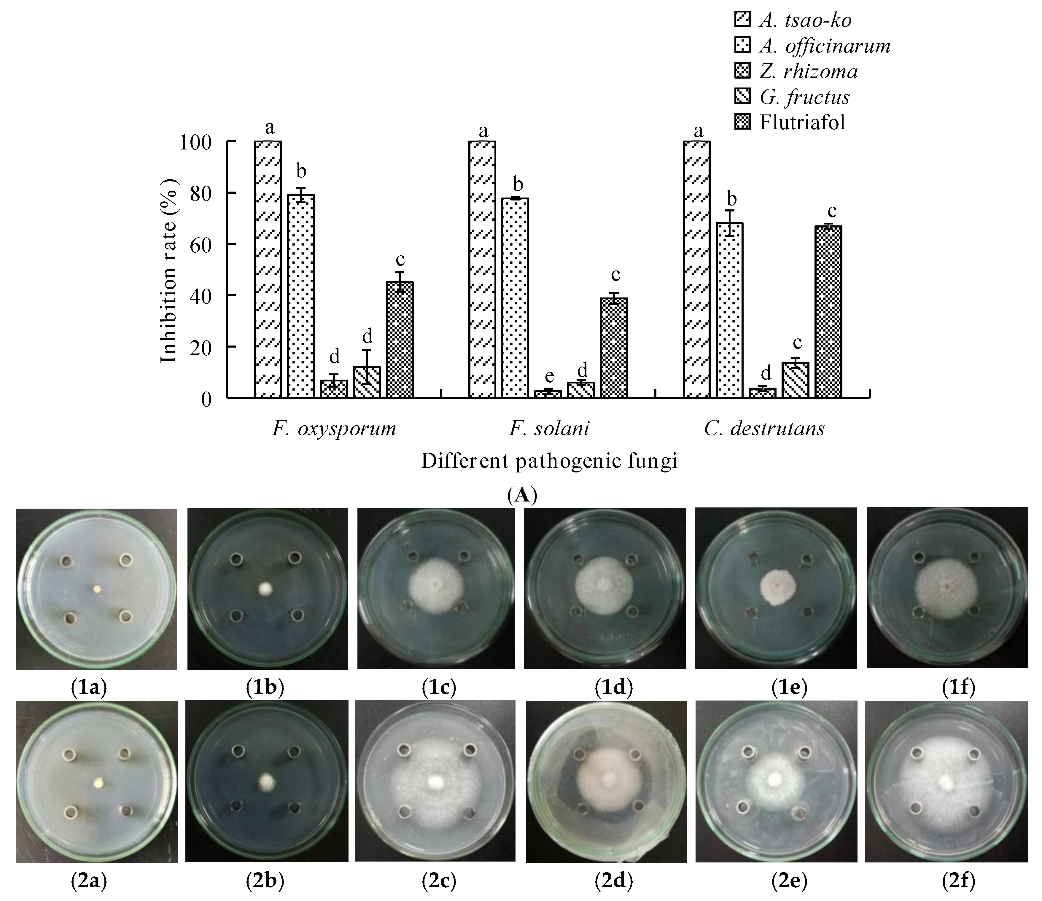 Molecules 23 01021 g001a Molecules 23 01021 g001a