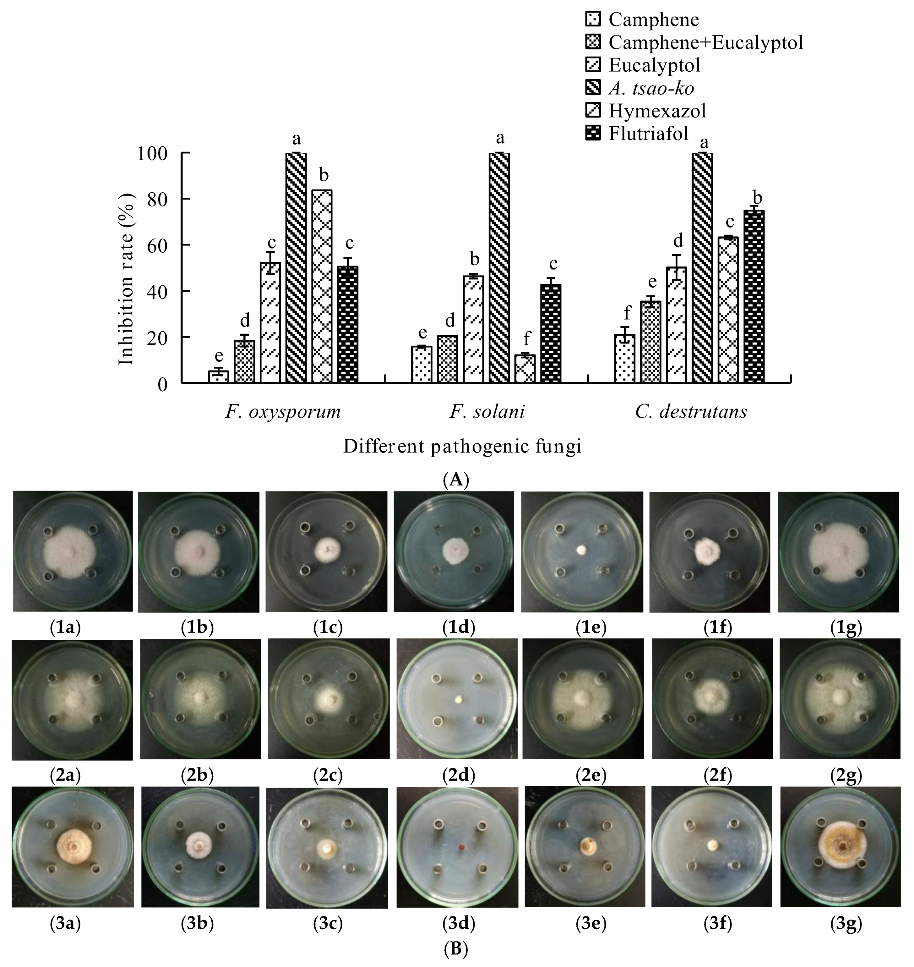 Molecules 23 01021 g002 Molecules 23 01021 g002