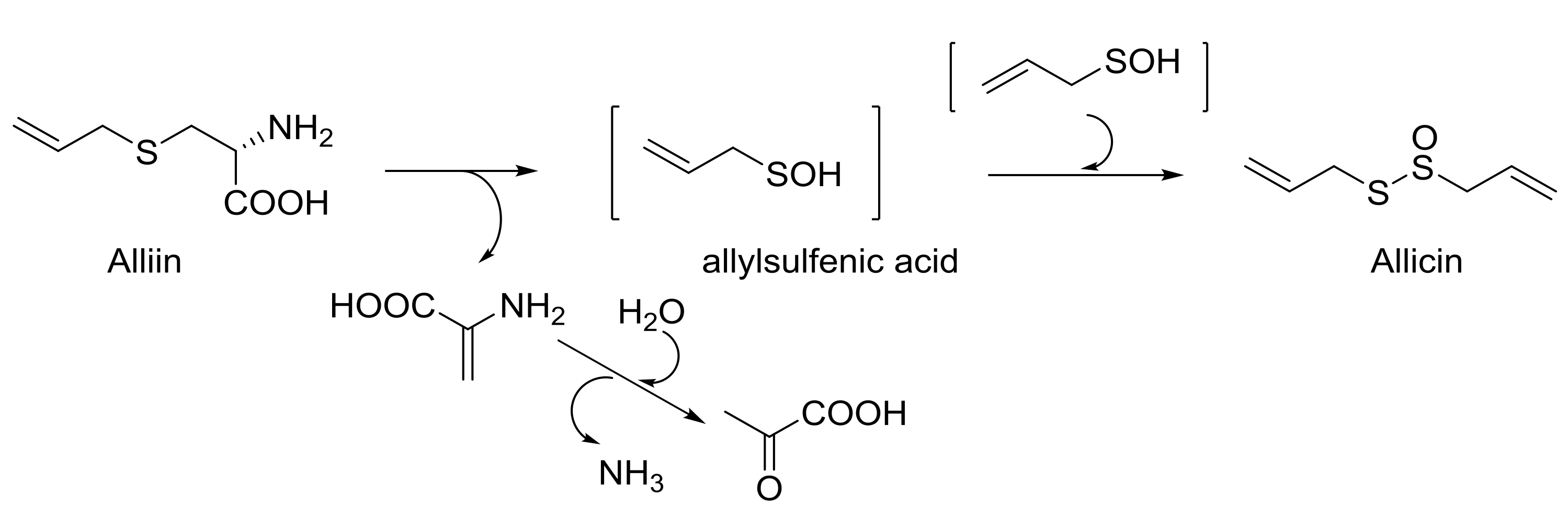 Molecules 23 01030 sch004 Molecules 23 01030 sch004
