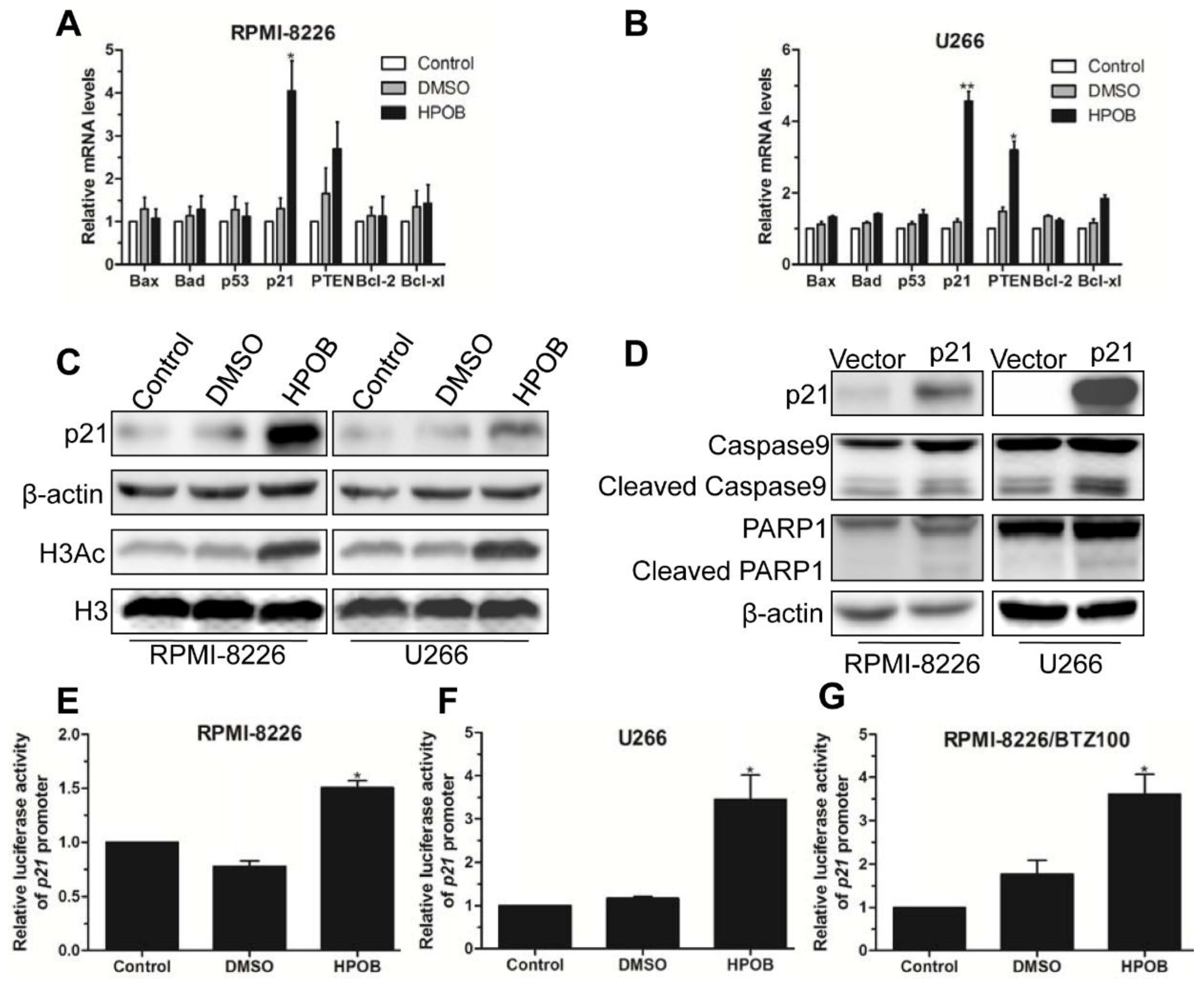 Molecules 23 01044 g005