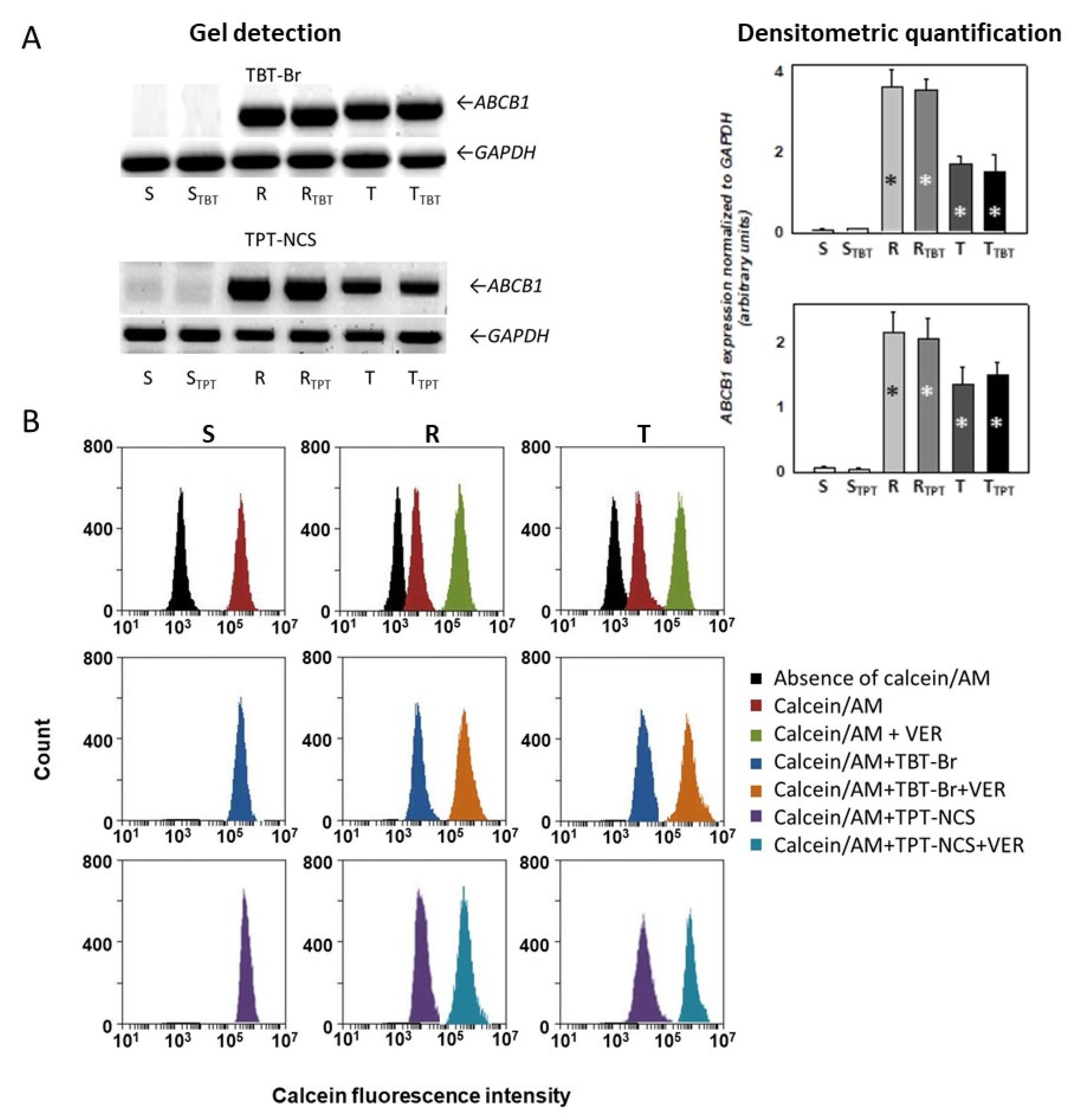 Molecules 23 01053 g003 Molecules 23 01053 g003
