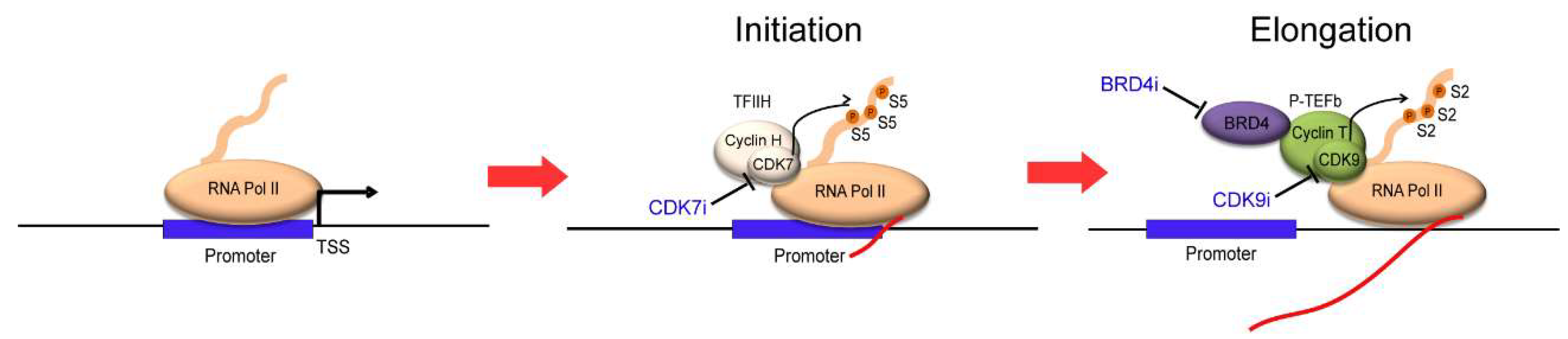 Molecules 23 01057 g003