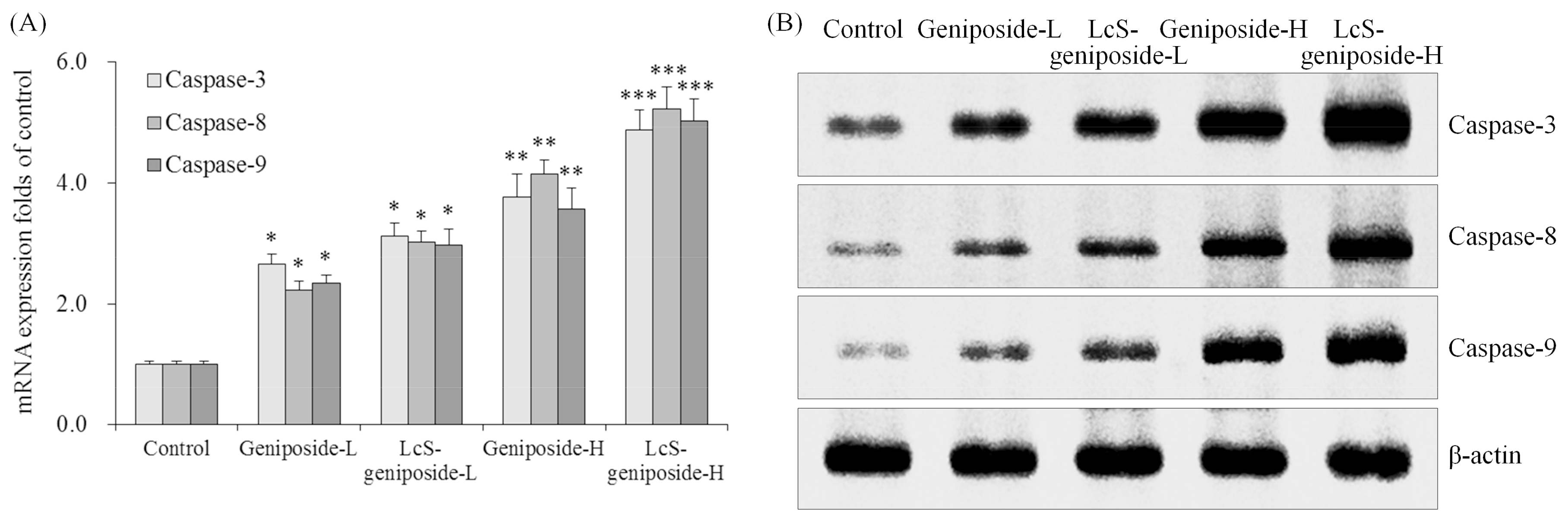 Molecules 23 01069 g003 Molecules 23 01069 g003