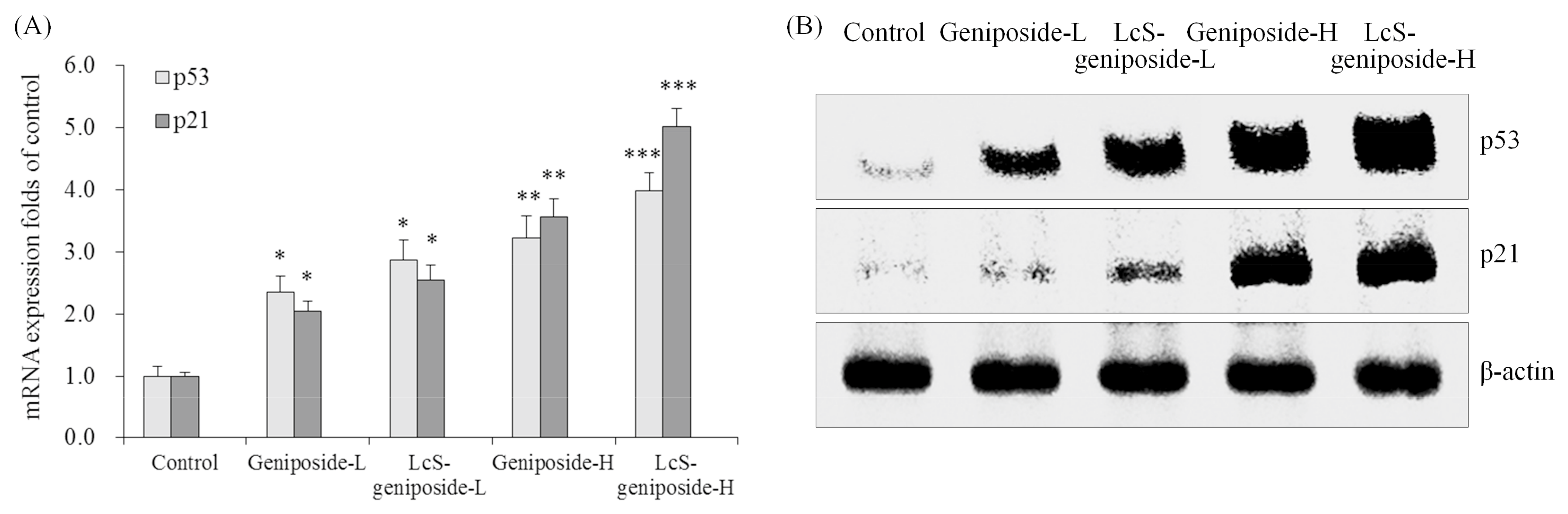 Molecules 23 01069 g005 Molecules 23 01069 g005