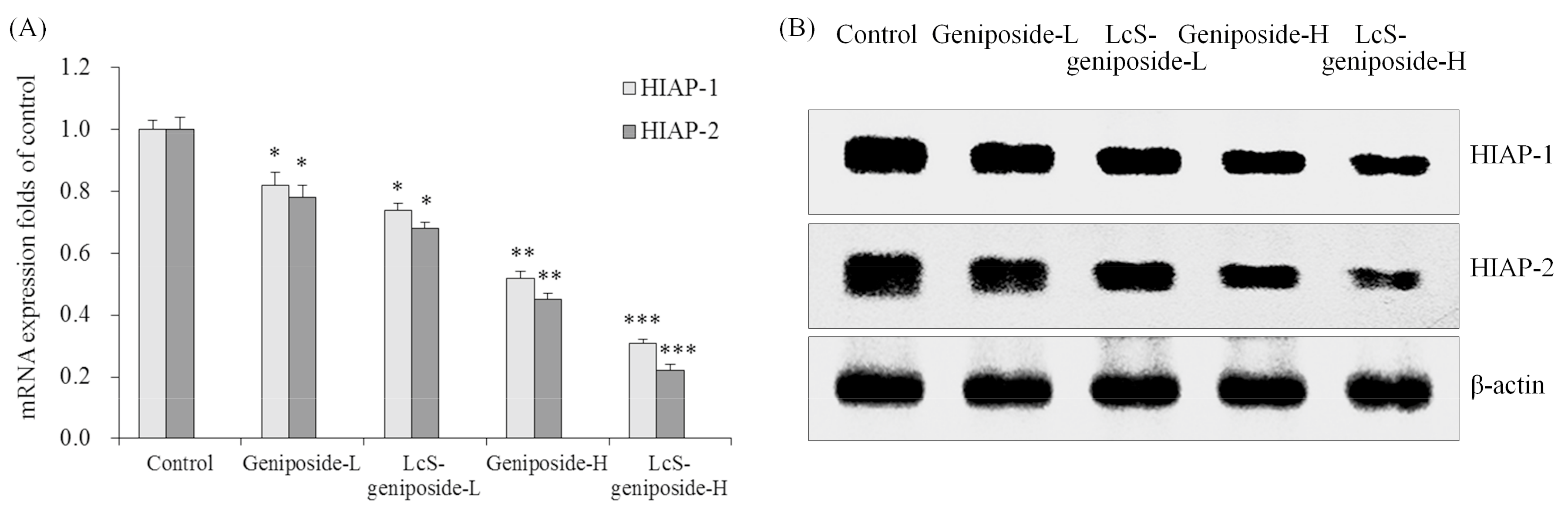Molecules 23 01069 g006 Molecules 23 01069 g006