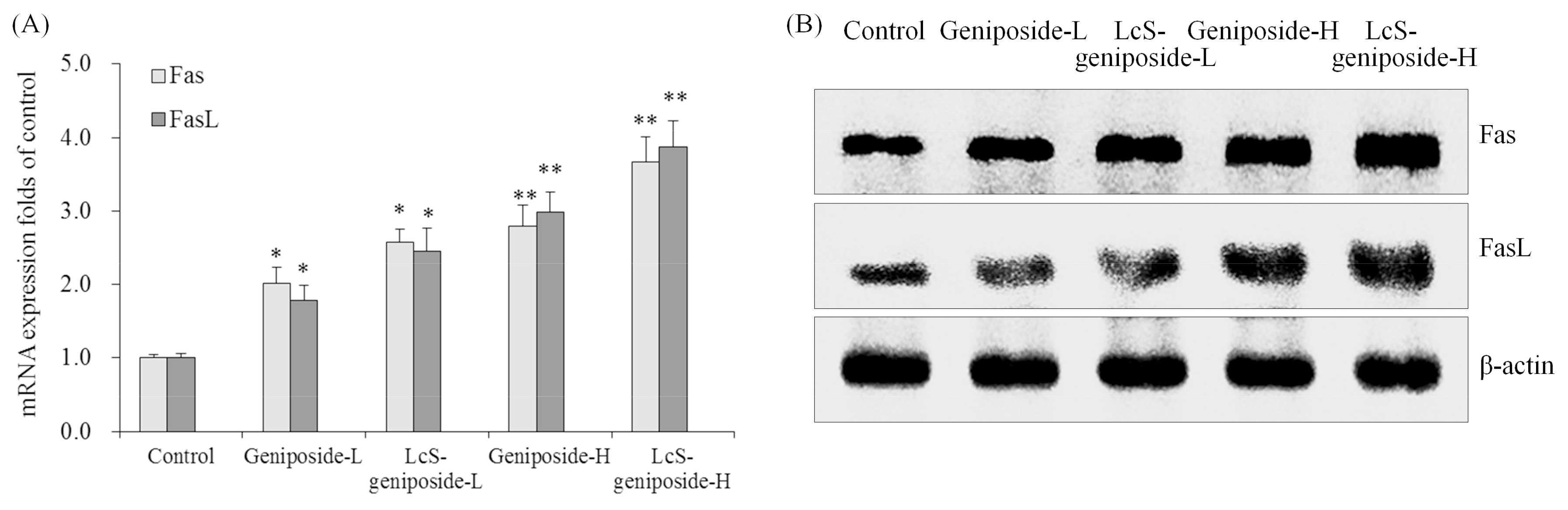 Molecules 23 01069 g008 Molecules 23 01069 g008