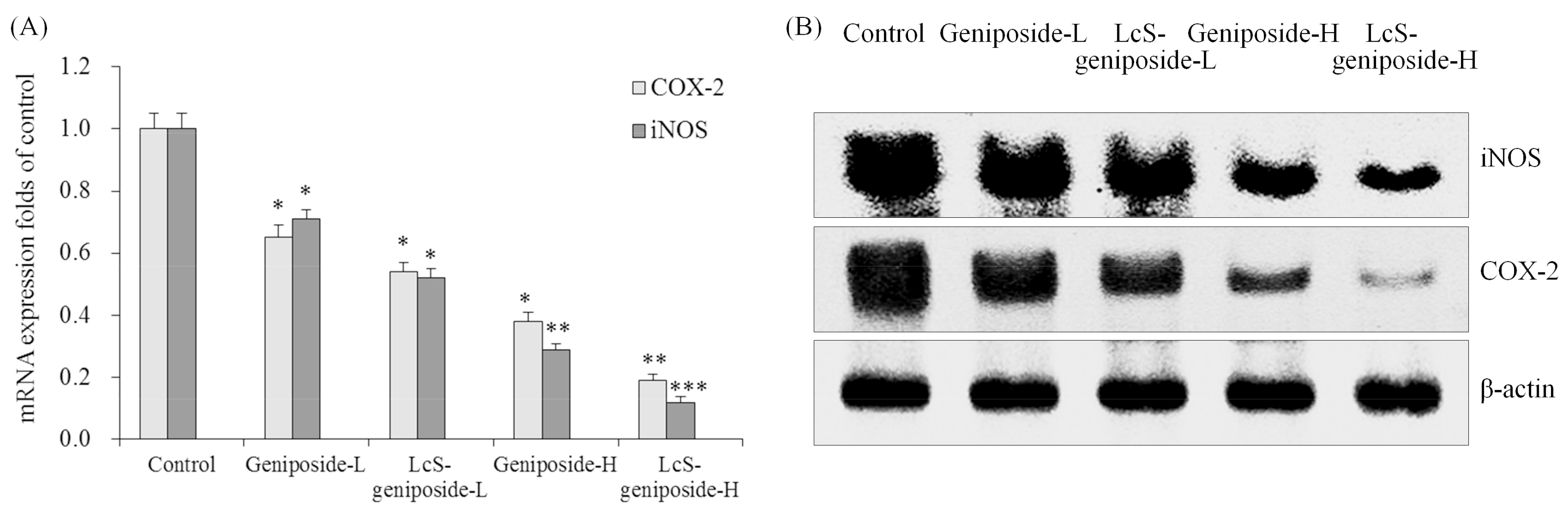 Molecules 23 01069 g010 Molecules 23 01069 g010