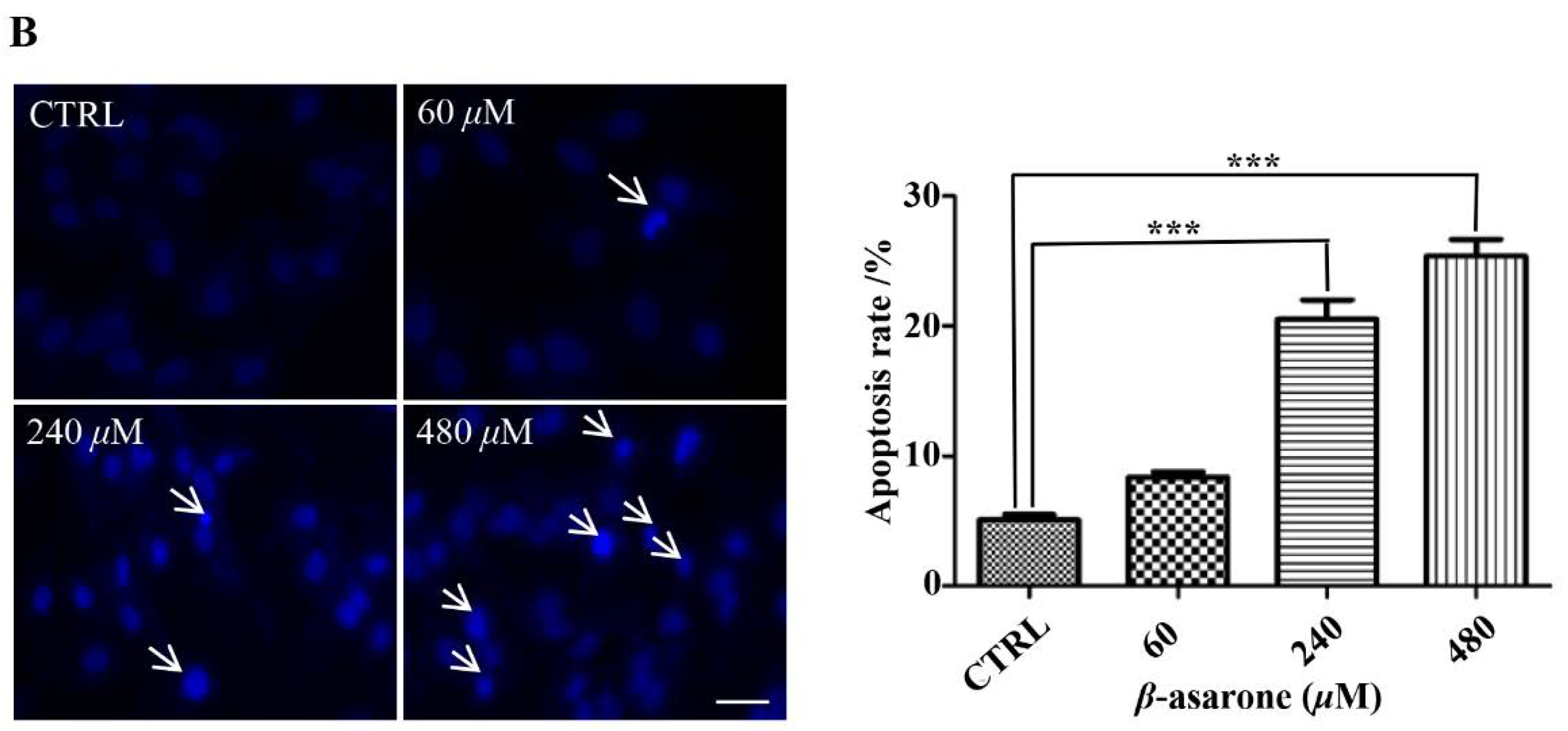 Molecules 23 01072 g002b