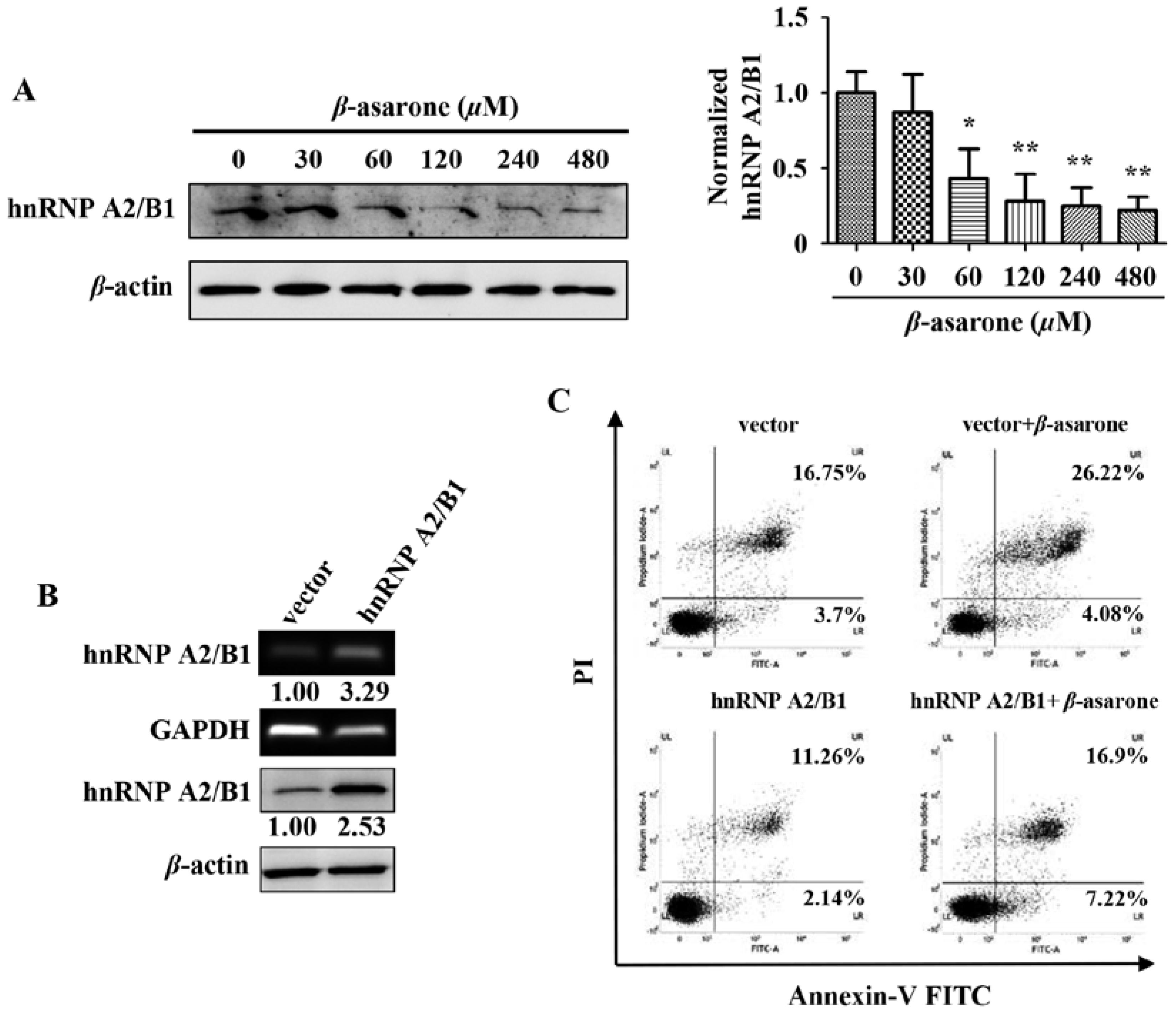 Molecules 23 01072 g004
