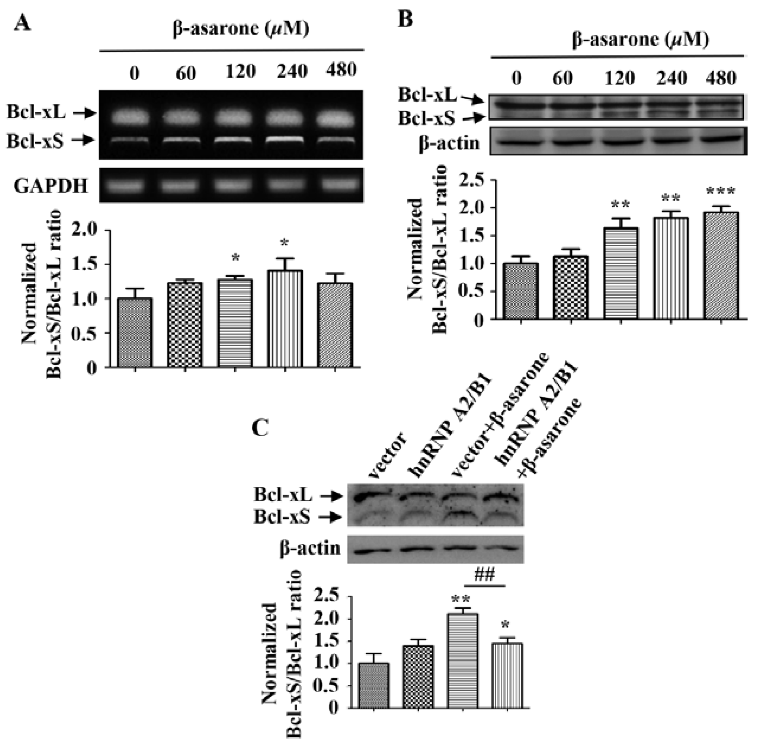 Molecules 23 01072 g005