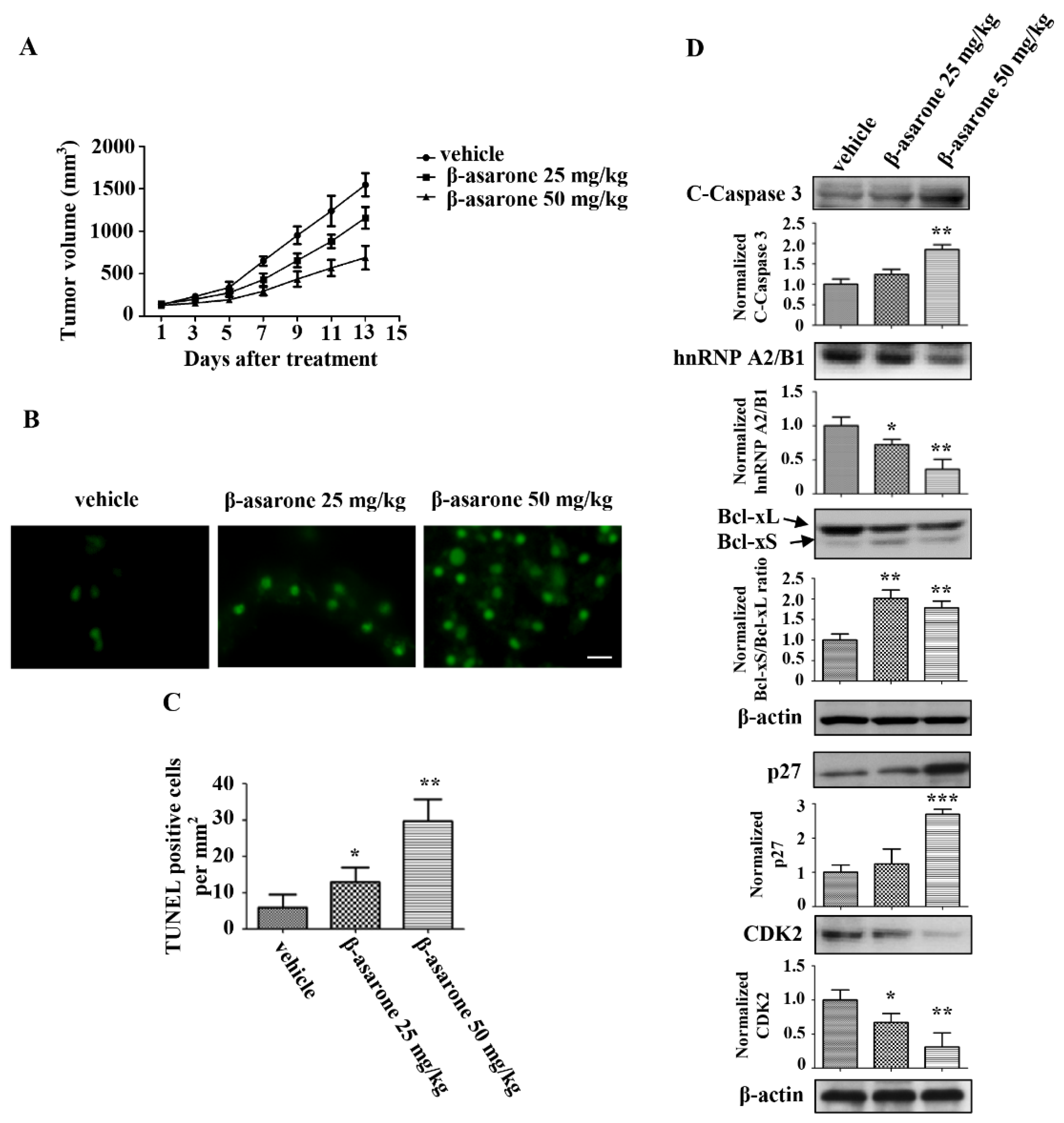 Molecules 23 01072 g009