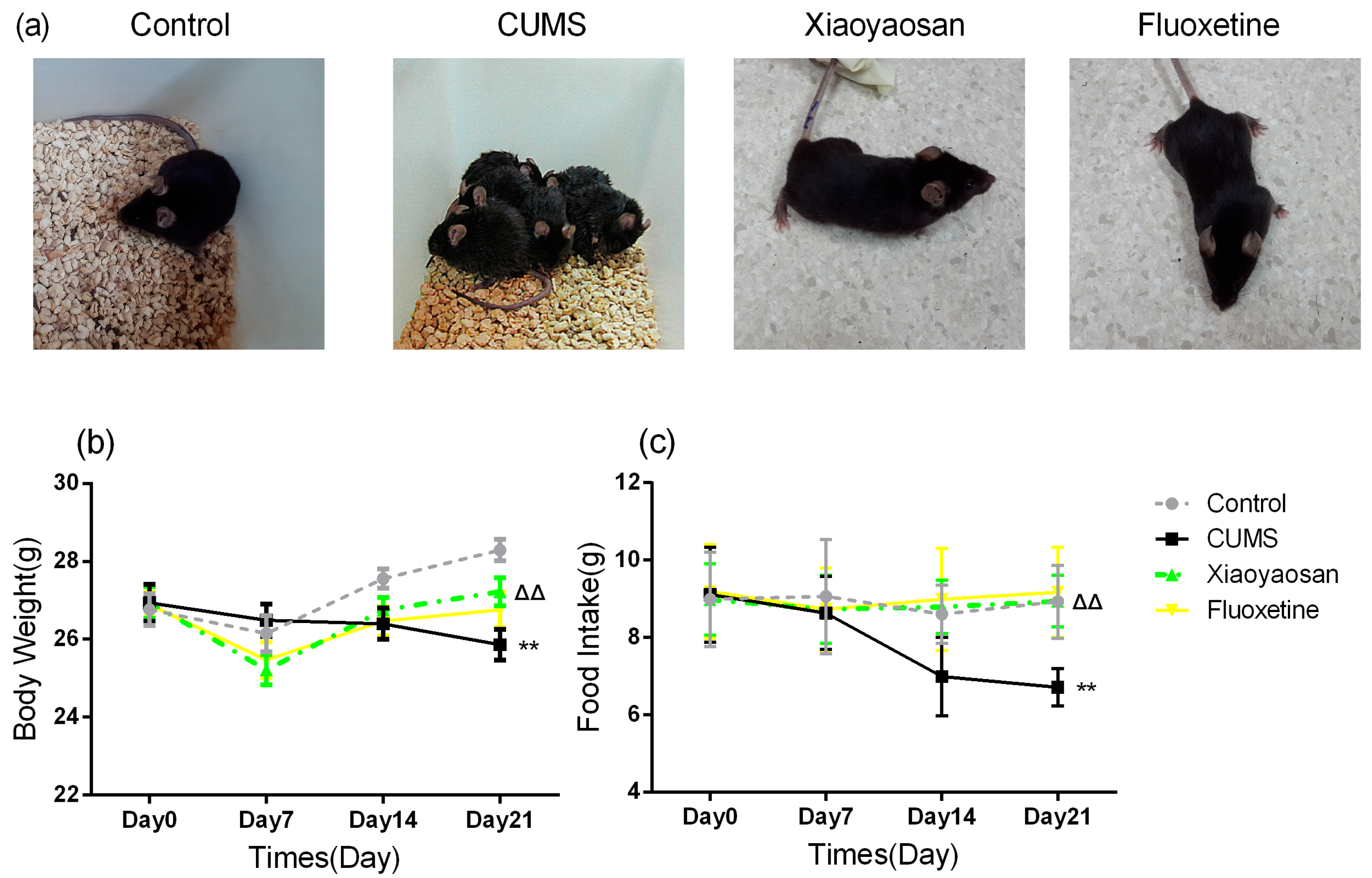 Molecules 23 01073 g001