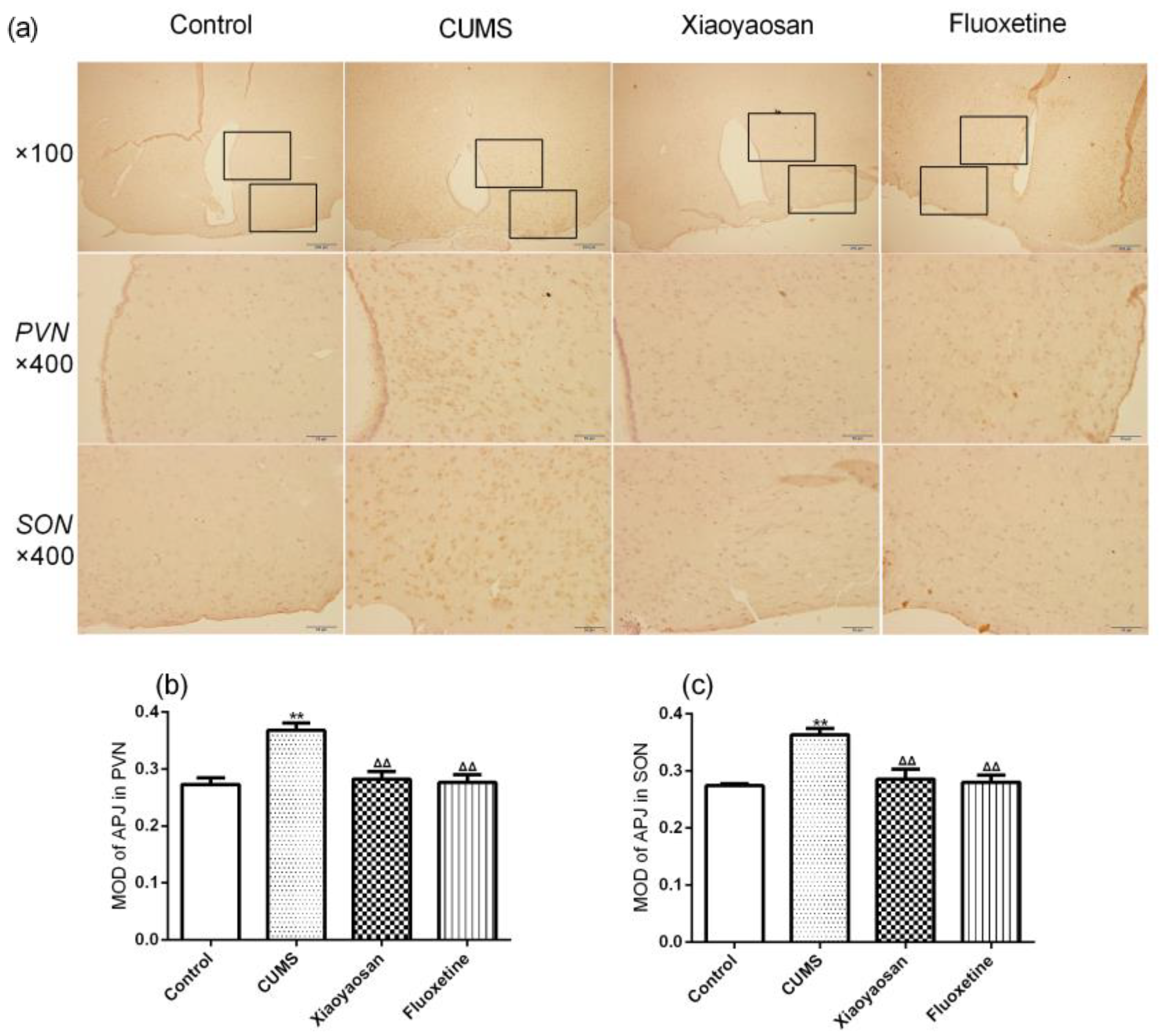 Molecules 23 01073 g007
