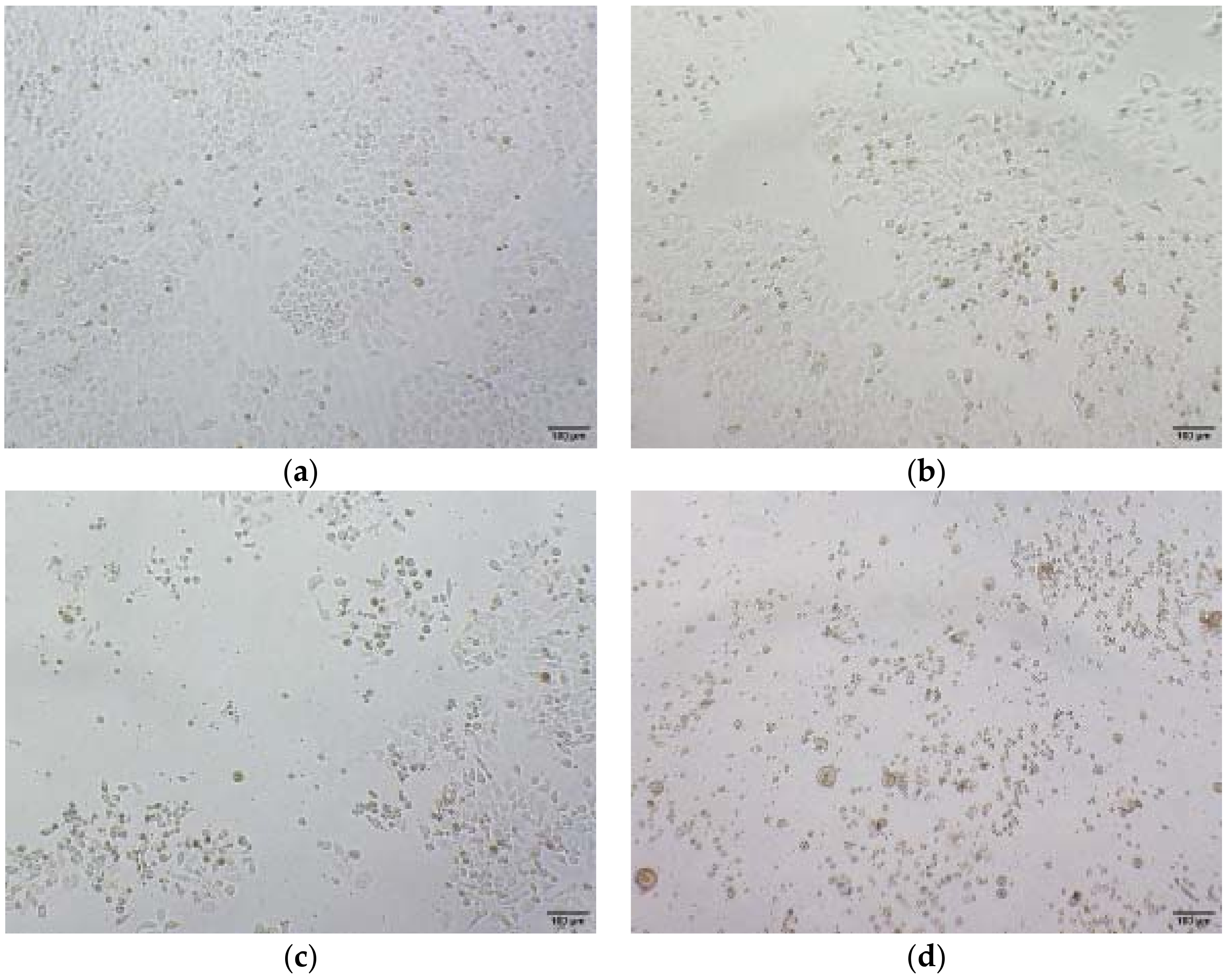 Molecules 23 01074 g002