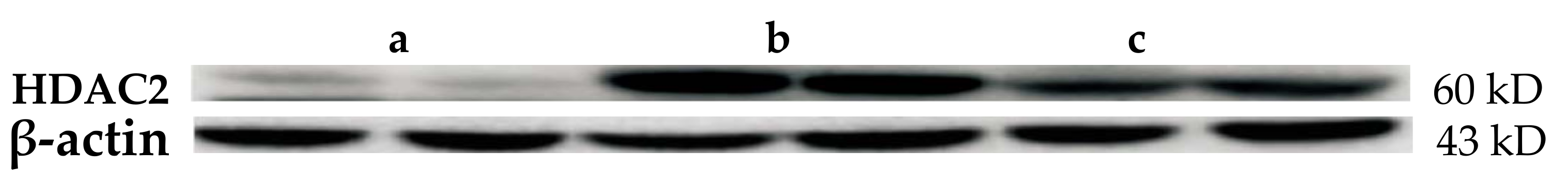 Molecules 23 01074 g003