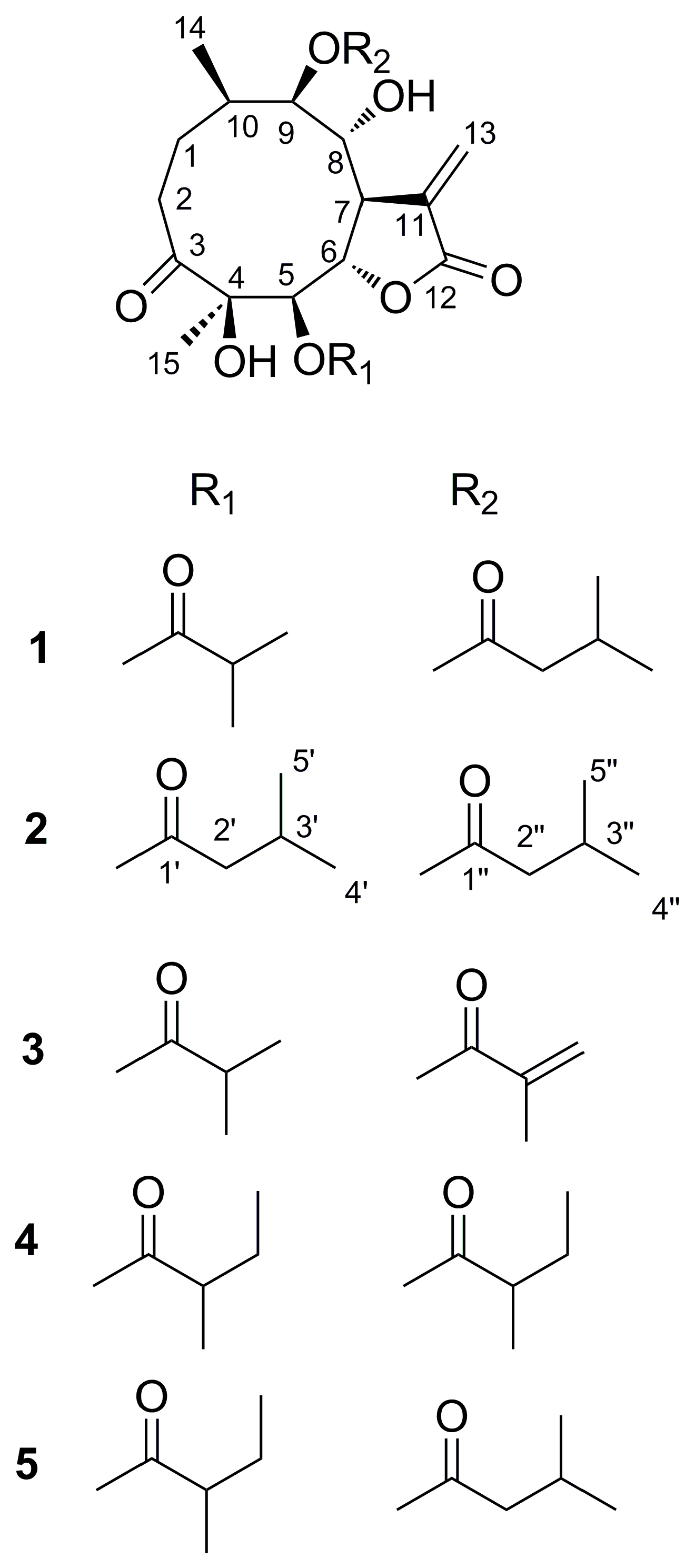 Molecules 23 01078 g001