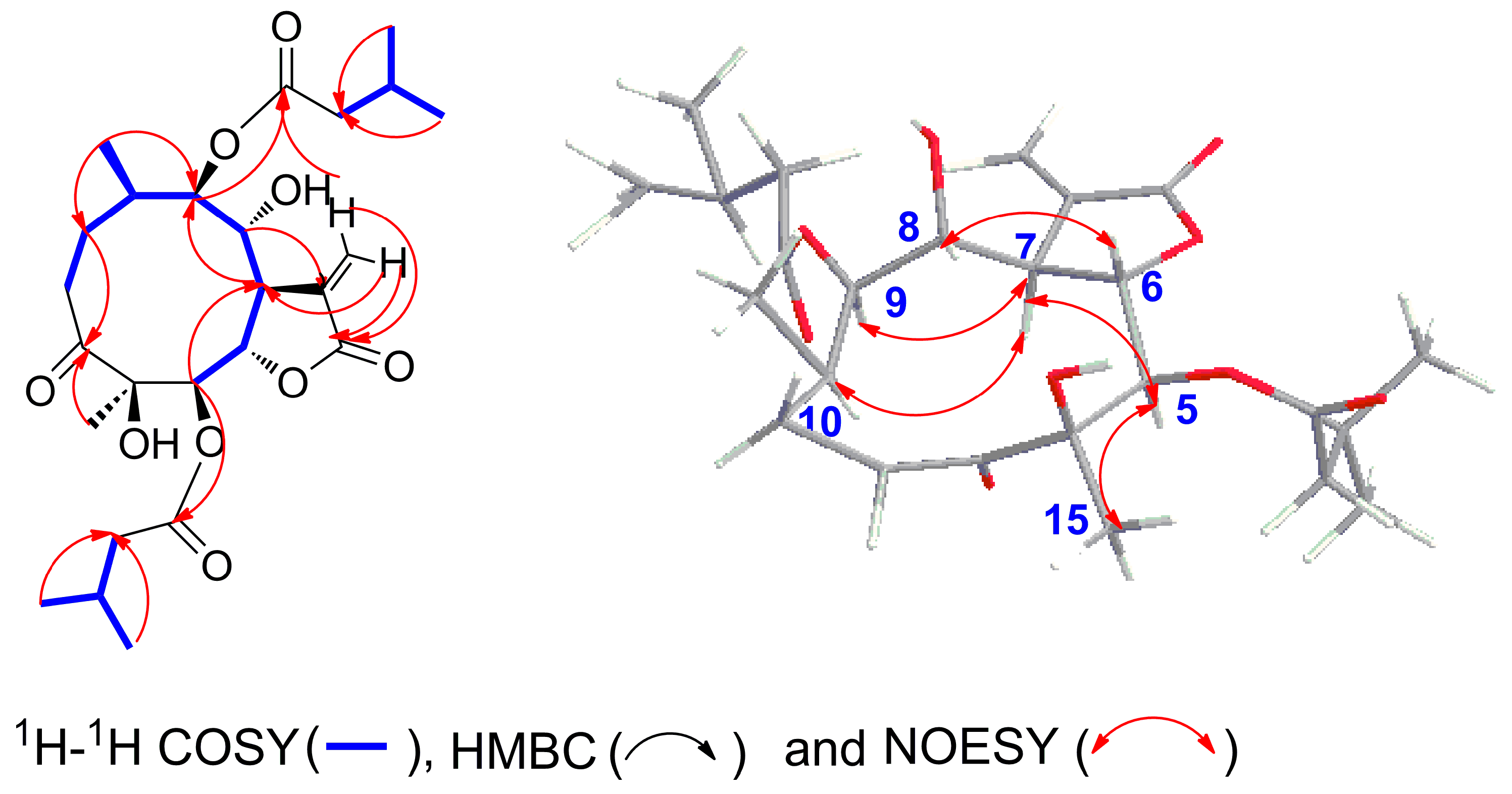 Molecules 23 01078 g004