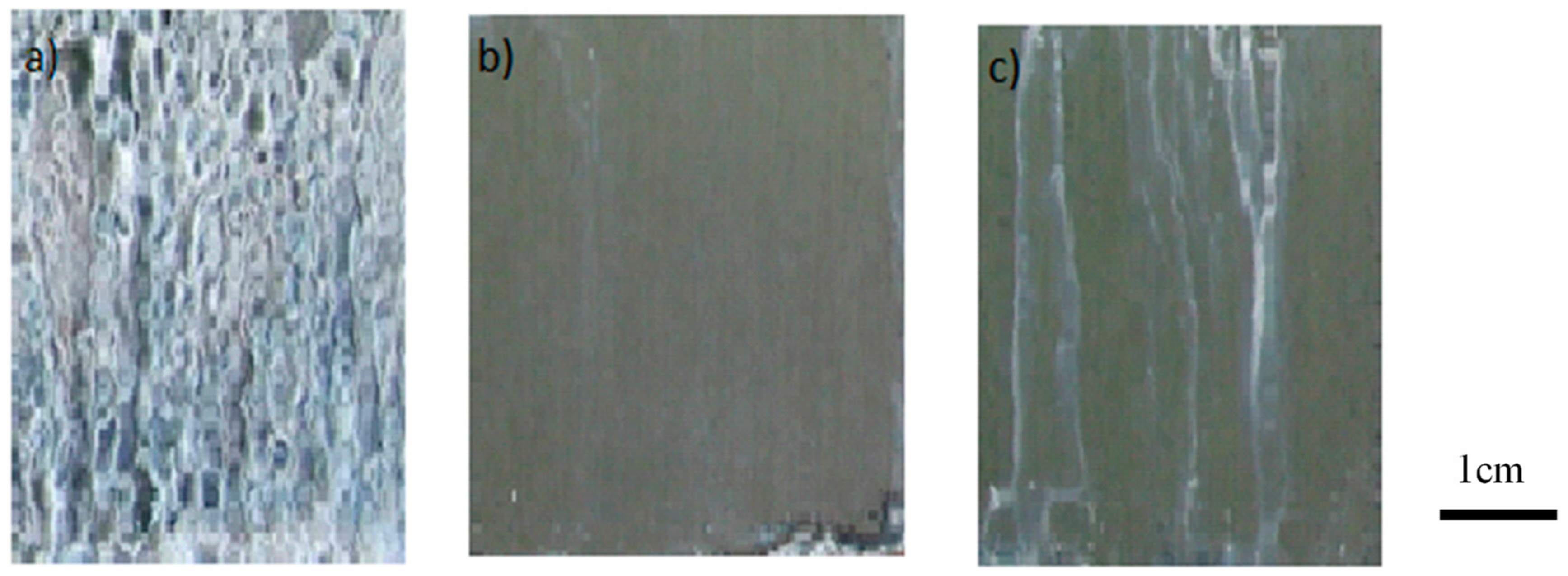 Molecules 23 01079 g012