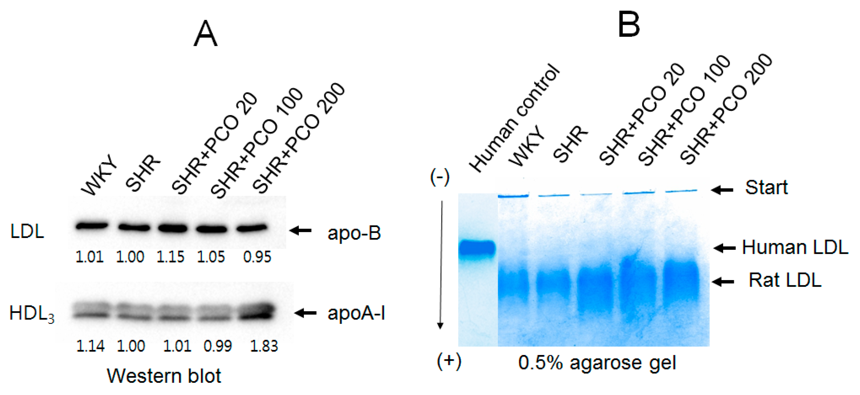 Molecules 23 01080 g006
