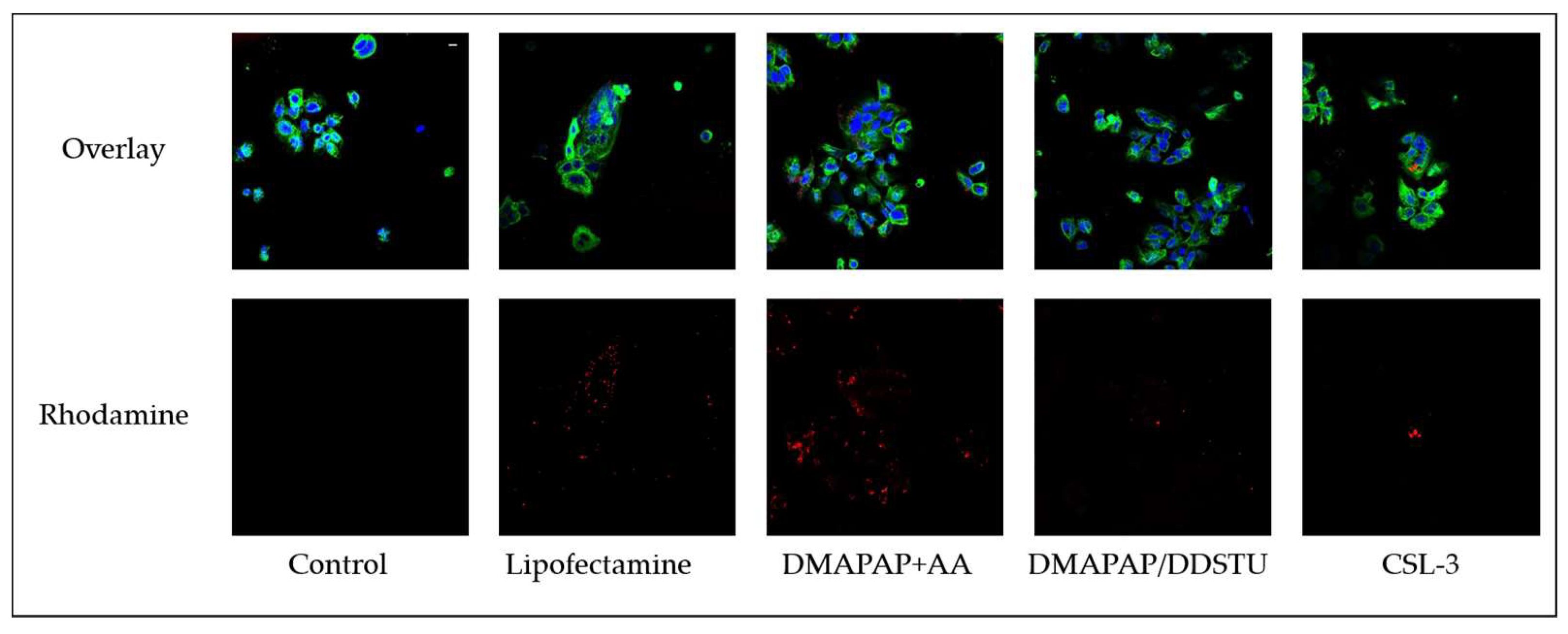 Molecules 23 01085 g001