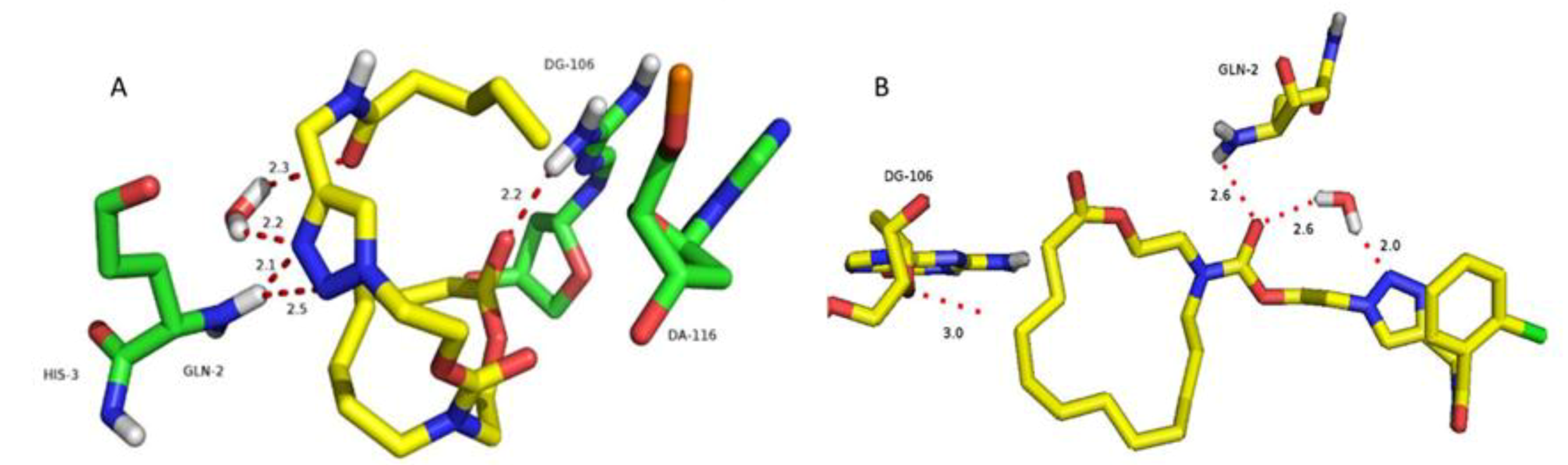 Molecules 23 01086 g006 Molecules 23 01086 g006